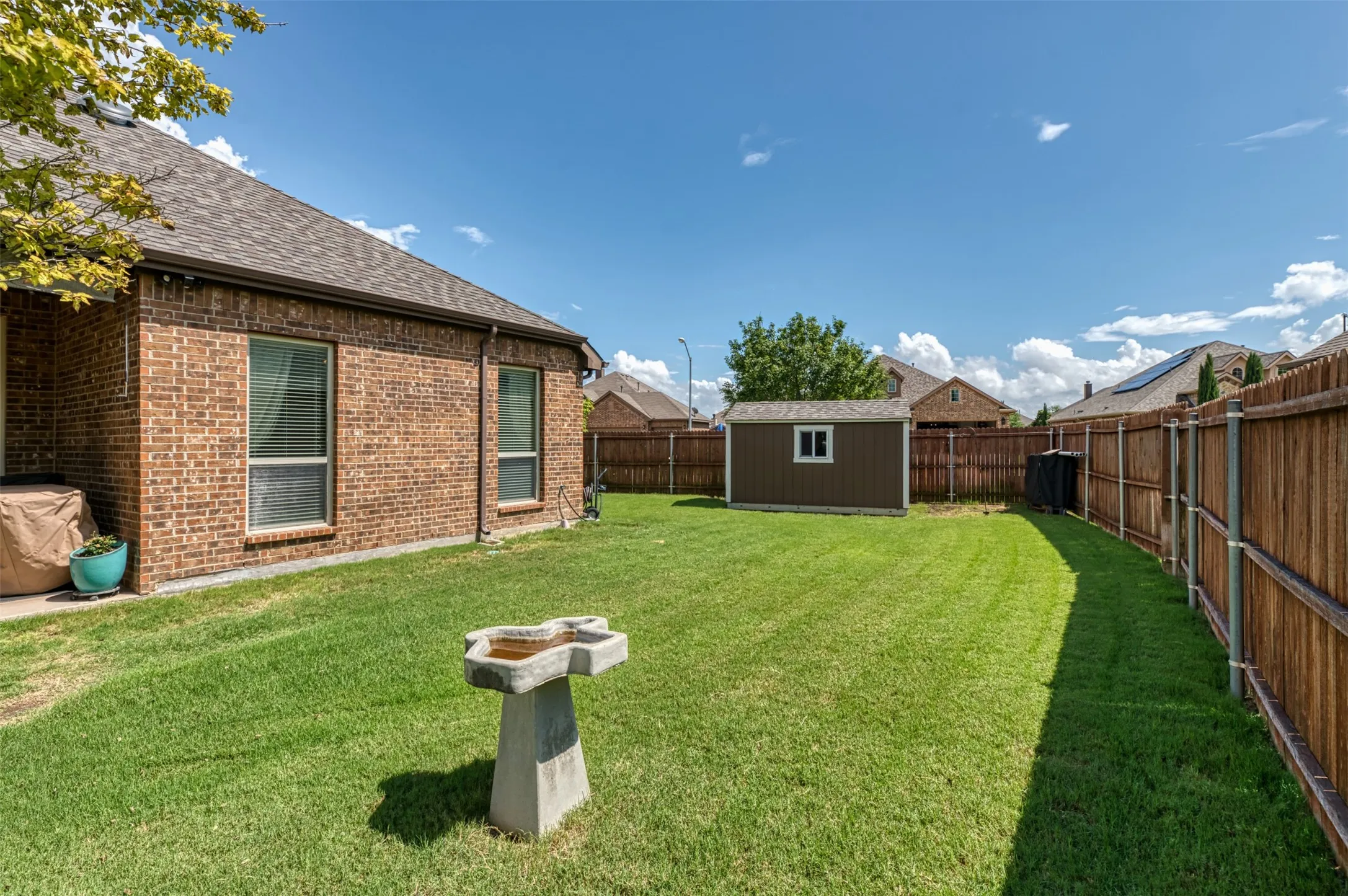 View of the backyard area