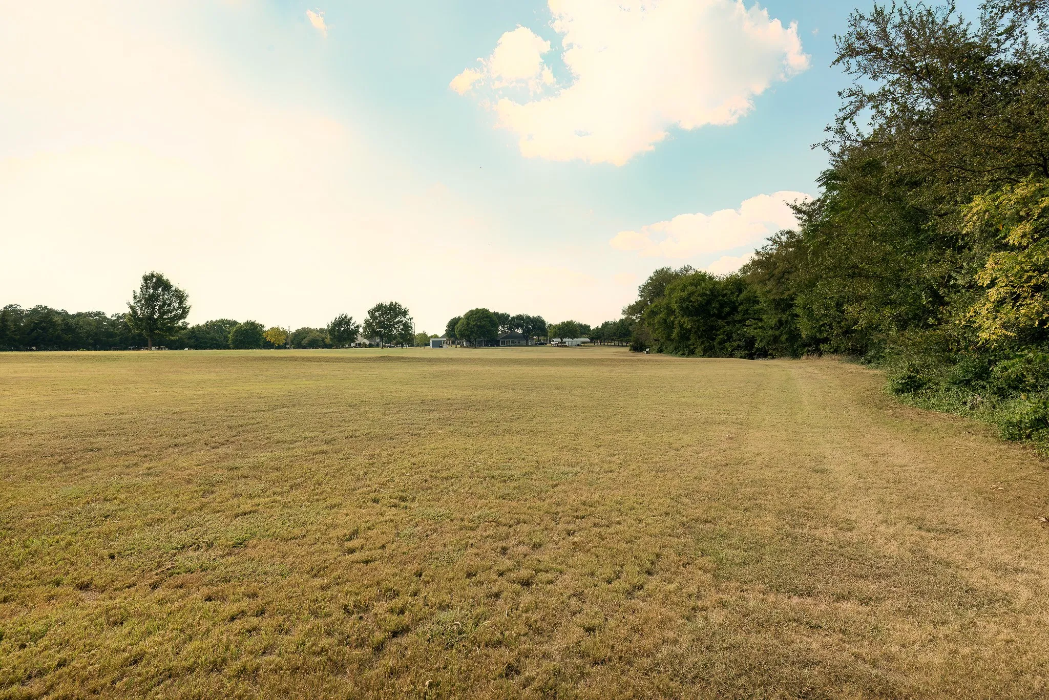 Single Family Residence For Sale in Ellis County , 3840 Blackchamp Road, Midlothian, Texas 76065, 3 Bedroom, 3 Bathroom, 2 Garage spaces, 2,363 Sqft, built in 1994, mls#21294268, Real Estate Agent in Midlothian, Homes For Sale in Ellis county, Homes For Sale in Midlothian, Realtor in Midlothian Texas, Real Estate Brokerage Independent Realty Texas, Luminita Cordes Realtor