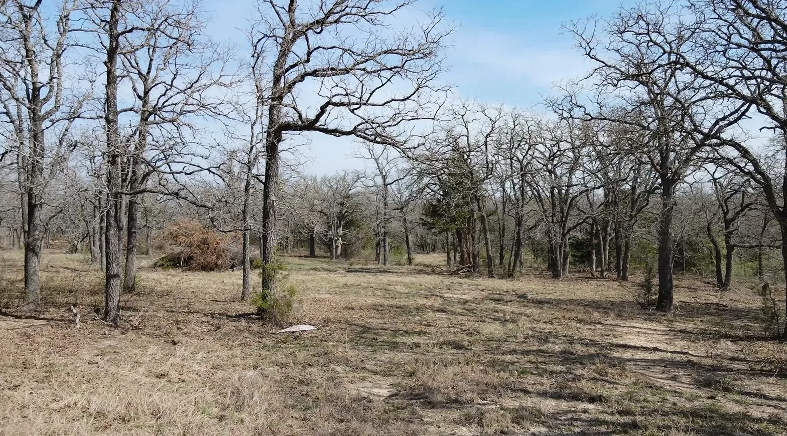 Improved Land For Sale in Mc Lennan County , 3292 Highway 31, Axtell, Texas 76624, 0, 0, Garage spaces, 0 Sqft, built in 0, mls#21295037, Real Estate Agent in Axtell, Homes For Sale in Mc Lennan county, Homes For Sale in Axtell, Realtor in Axtell Texas, Real Estate Brokerage Independent Realty Texas, Luminita Cordes Realtor