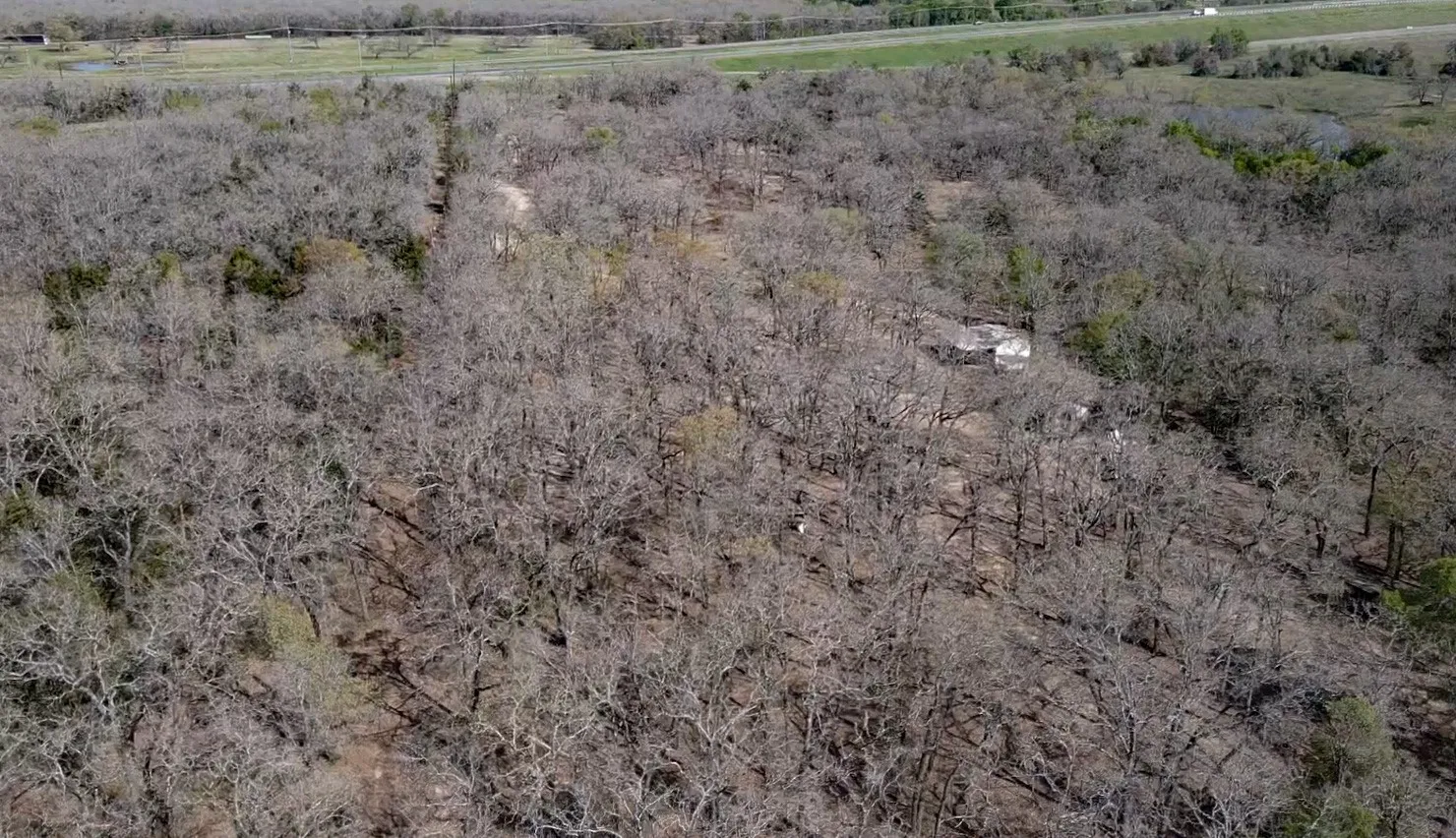 Improved Land For Sale in Mc Lennan County , 3292 Highway 31, Axtell, Texas 76624, 0, 0, Garage spaces, 0 Sqft, built in 0, mls#21295037, Real Estate Agent in Axtell, Homes For Sale in Mc Lennan county, Homes For Sale in Axtell, Realtor in Axtell Texas, Real Estate Brokerage Independent Realty Texas, Luminita Cordes Realtor