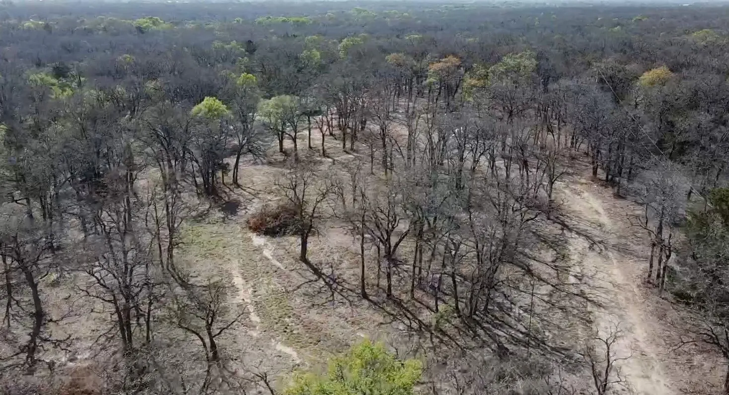 Improved Land For Sale in Mc Lennan County , 3292 Highway 31, Axtell, Texas 76624, 0, 0, Garage spaces, 0 Sqft, built in 0, mls#21295037, Real Estate Agent in Axtell, Homes For Sale in Mc Lennan county, Homes For Sale in Axtell, Realtor in Axtell Texas, Real Estate Brokerage Independent Realty Texas, Luminita Cordes Realtor