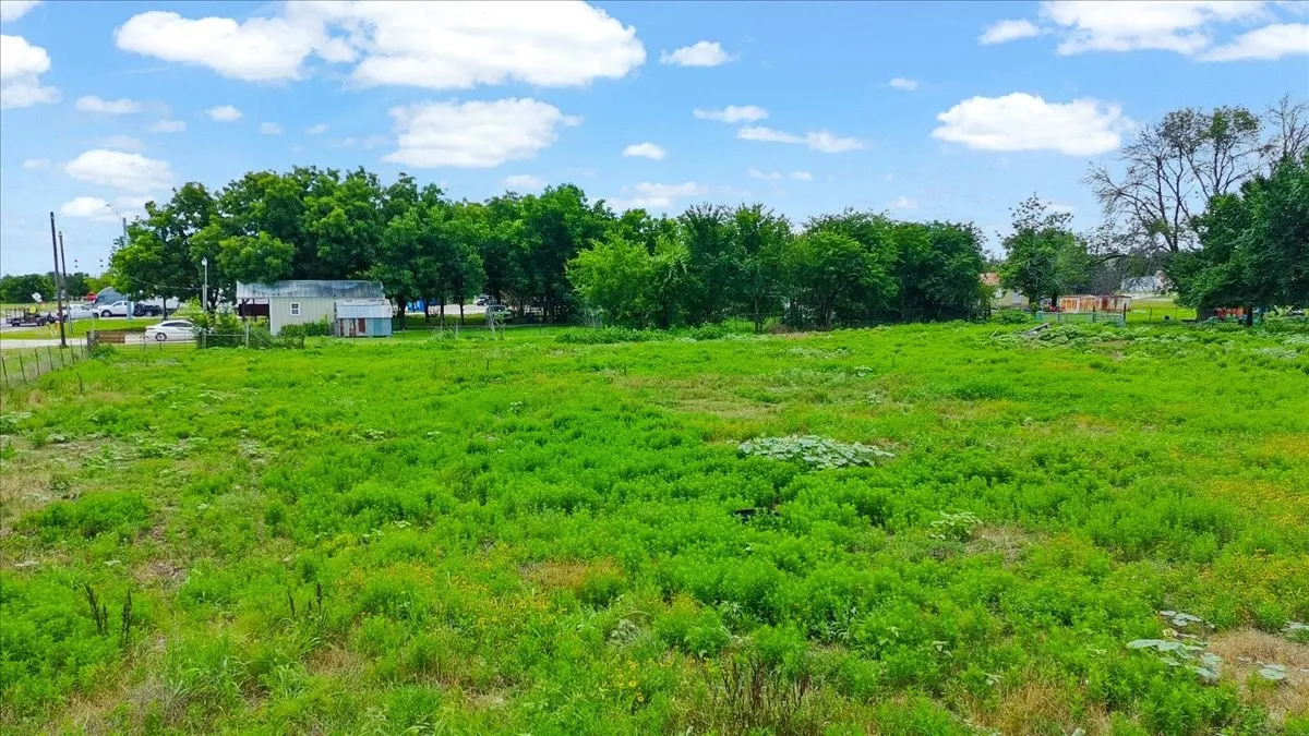Expansive green lot featuring natural vegetation