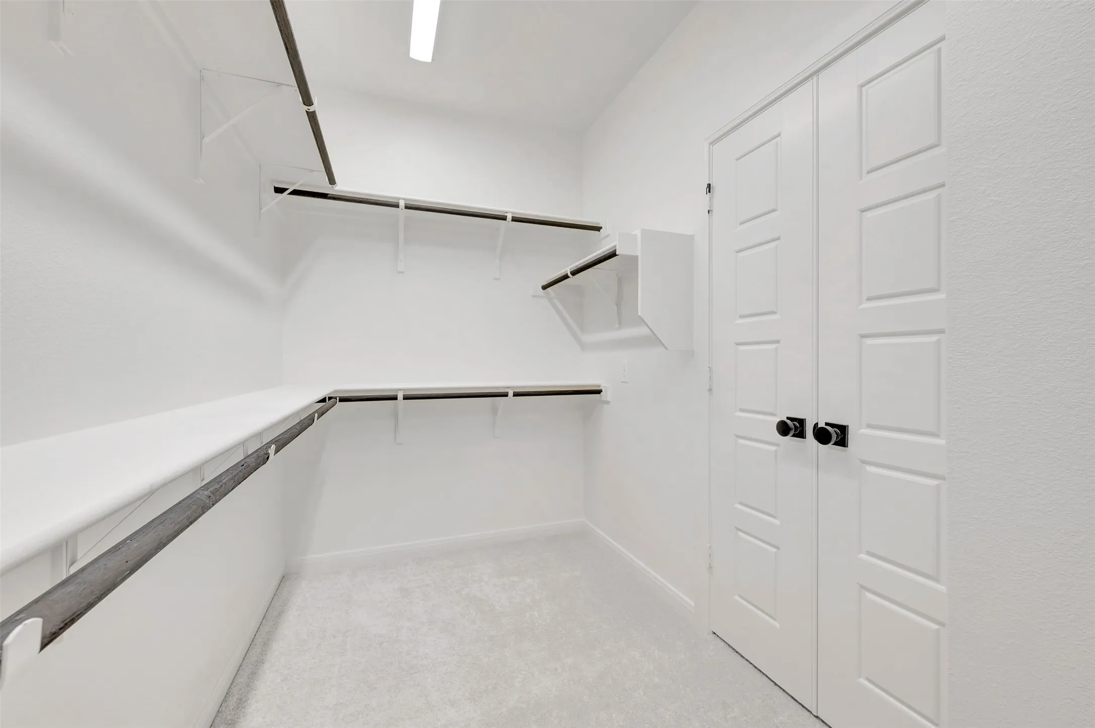 Spacious walk-in closet featuring white built-in shelving, hanging rods, and light gray carpet