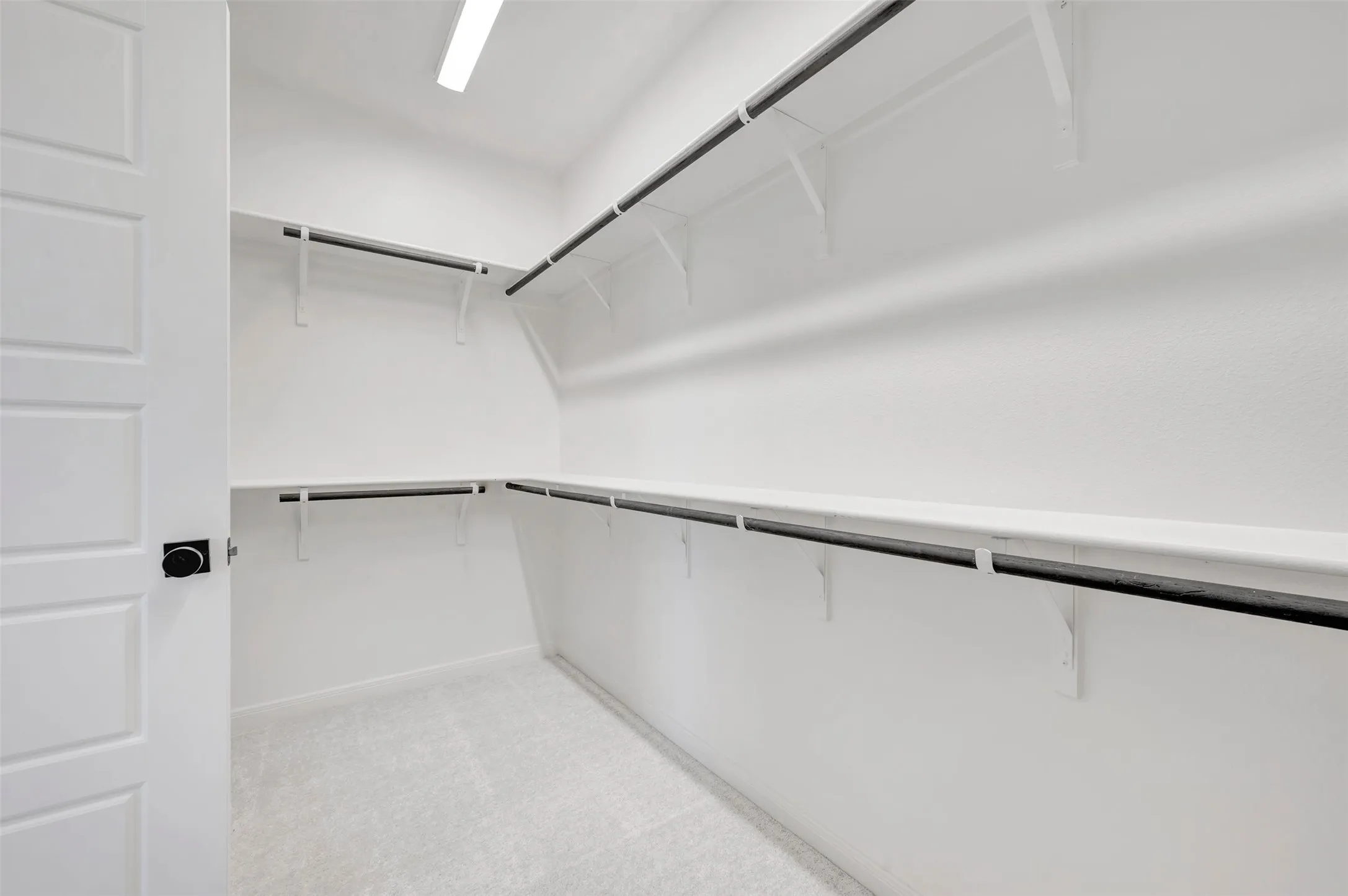 Spacious walk-in closet with extensive shelving, multiple hanging rods, and light-colored carpeting