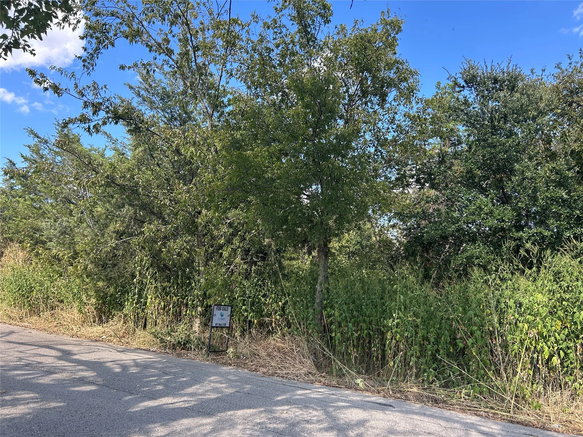 Unimproved Land For Sale in Johnson County , 203 Inez Hardy Way, Grandview, Texas 76050, 0, 0, Garage spaces, 0 Sqft, built in 0, Price $64,000, mls#21295118, Real Estate Agent in Grandview, Homes For Sale in Johnson county, Homes For Sale in Grandview, Realtor in Grandview Texas, Real Estate Brokerage Independent Realty Texas, Luminita Cordes Realtor