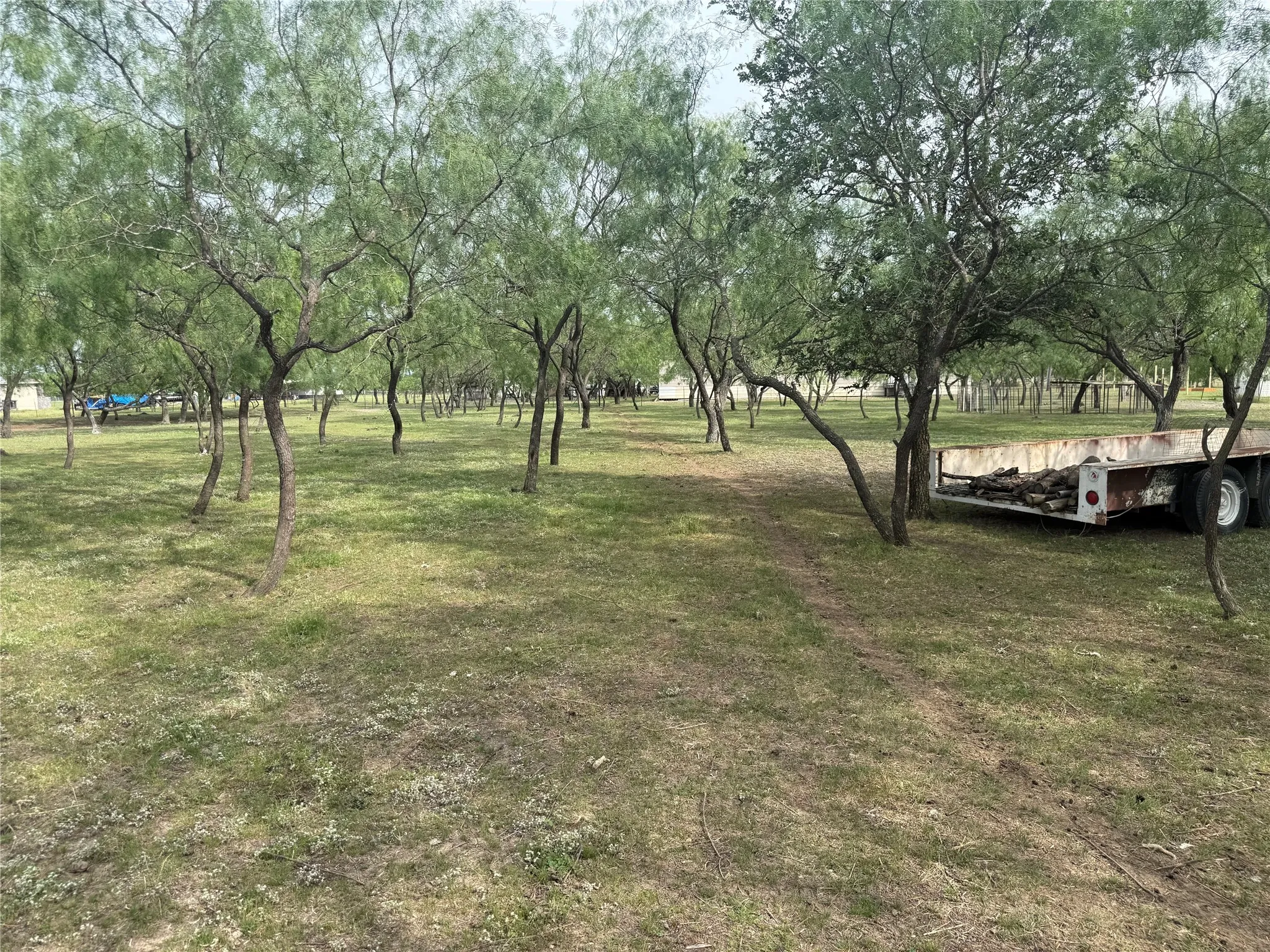 Wooded property with numerous mature trees and expansive grassy areas