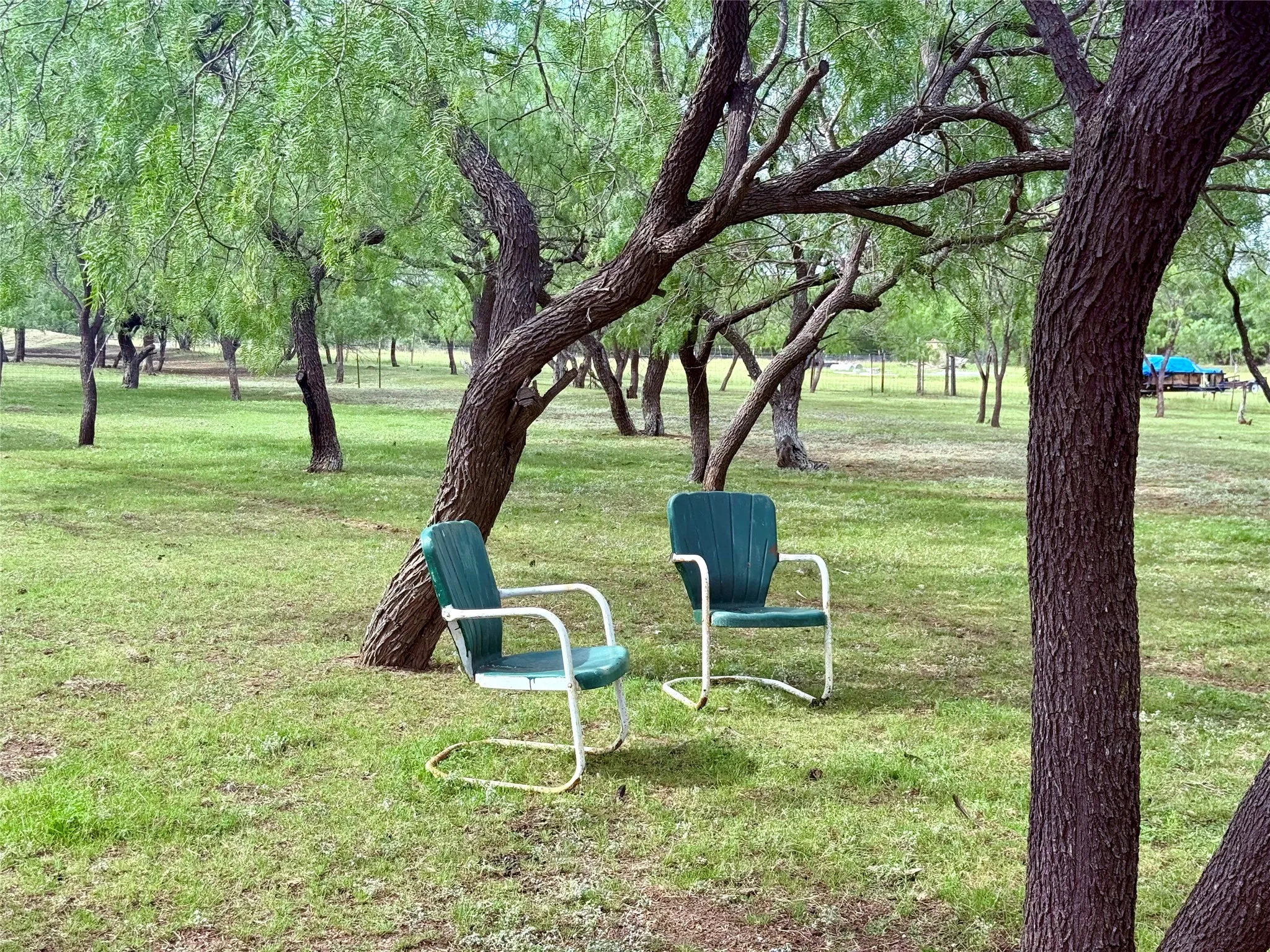 Farm For Sale in Navarro County , 1132 SW County Road 2348, Richland, Texas 76681, 4 Bedroom, 2 Bathroom, Garage spaces, 2,072 Sqft, built in 2000, mls#21283318, Real Estate Agent in Richland, Homes For Sale in Navarro county, Homes For Sale in Richland, Realtor in Richland Texas, Real Estate Brokerage Independent Realty Texas, Luminita Cordes Realtor