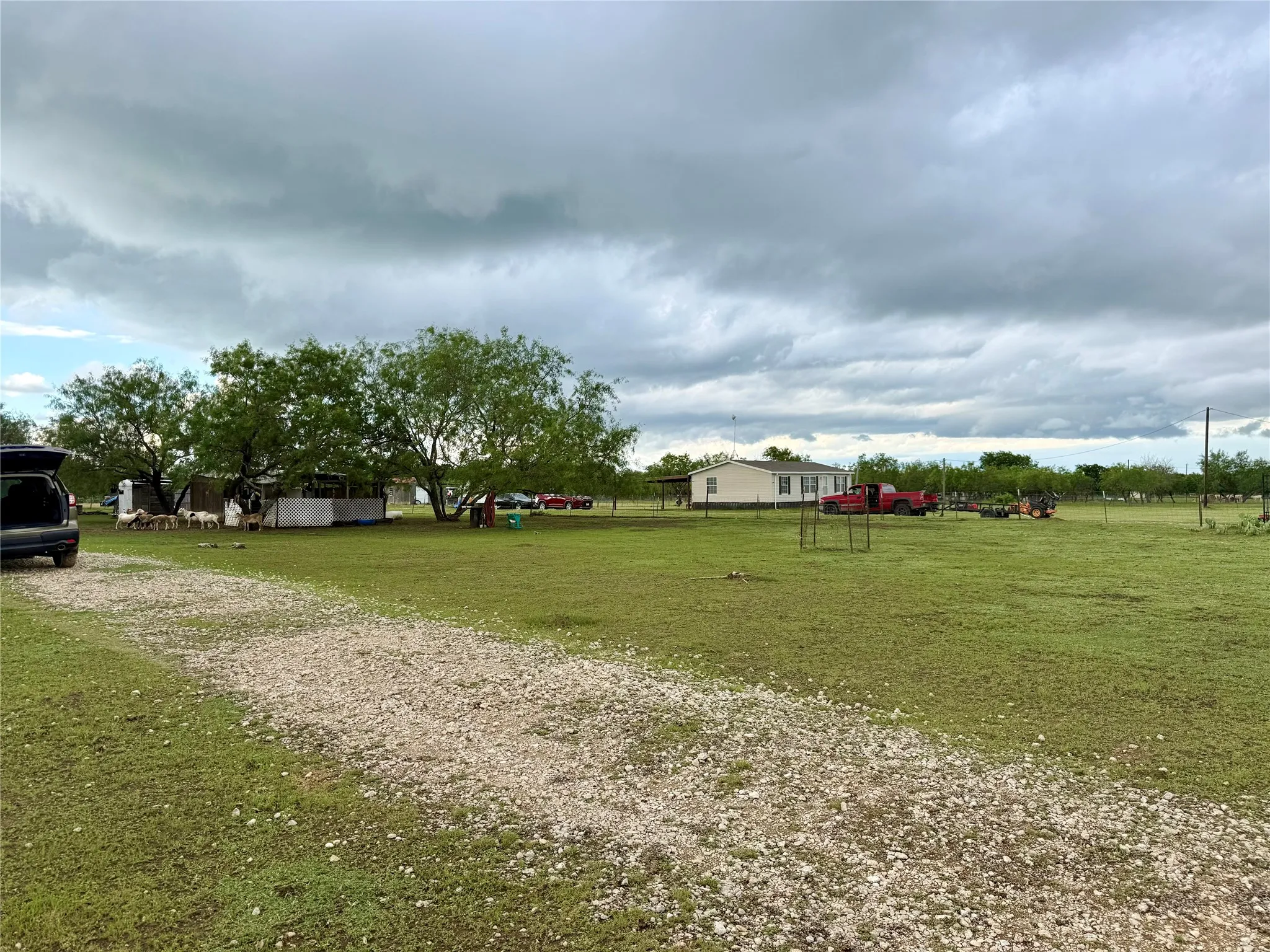 Expansive grassy lot with a gravel driveway and mature trees