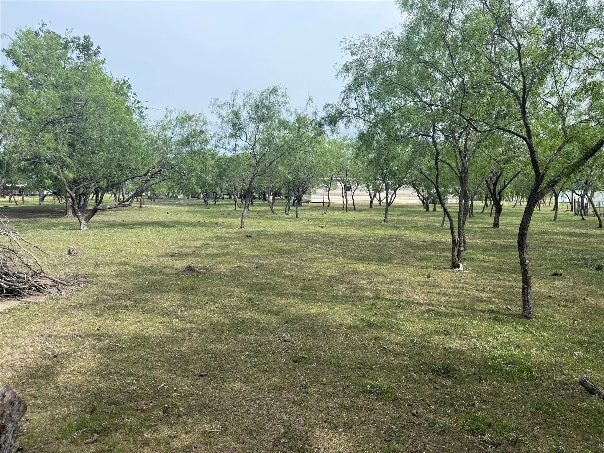 Expansive land parcel featuring numerous mature trees and a grass ground cover