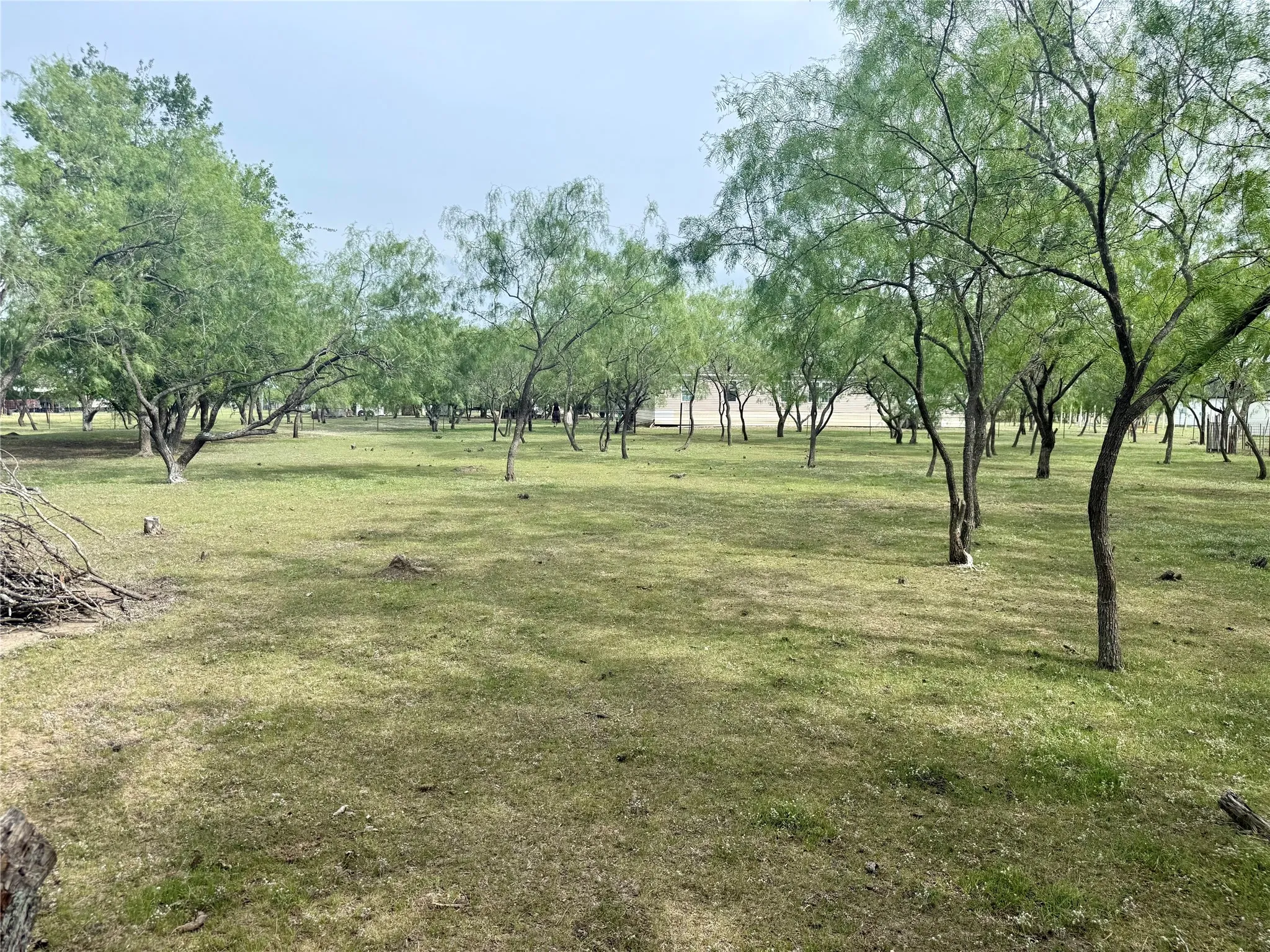 Expansive lot featuring mature trees and established greenery