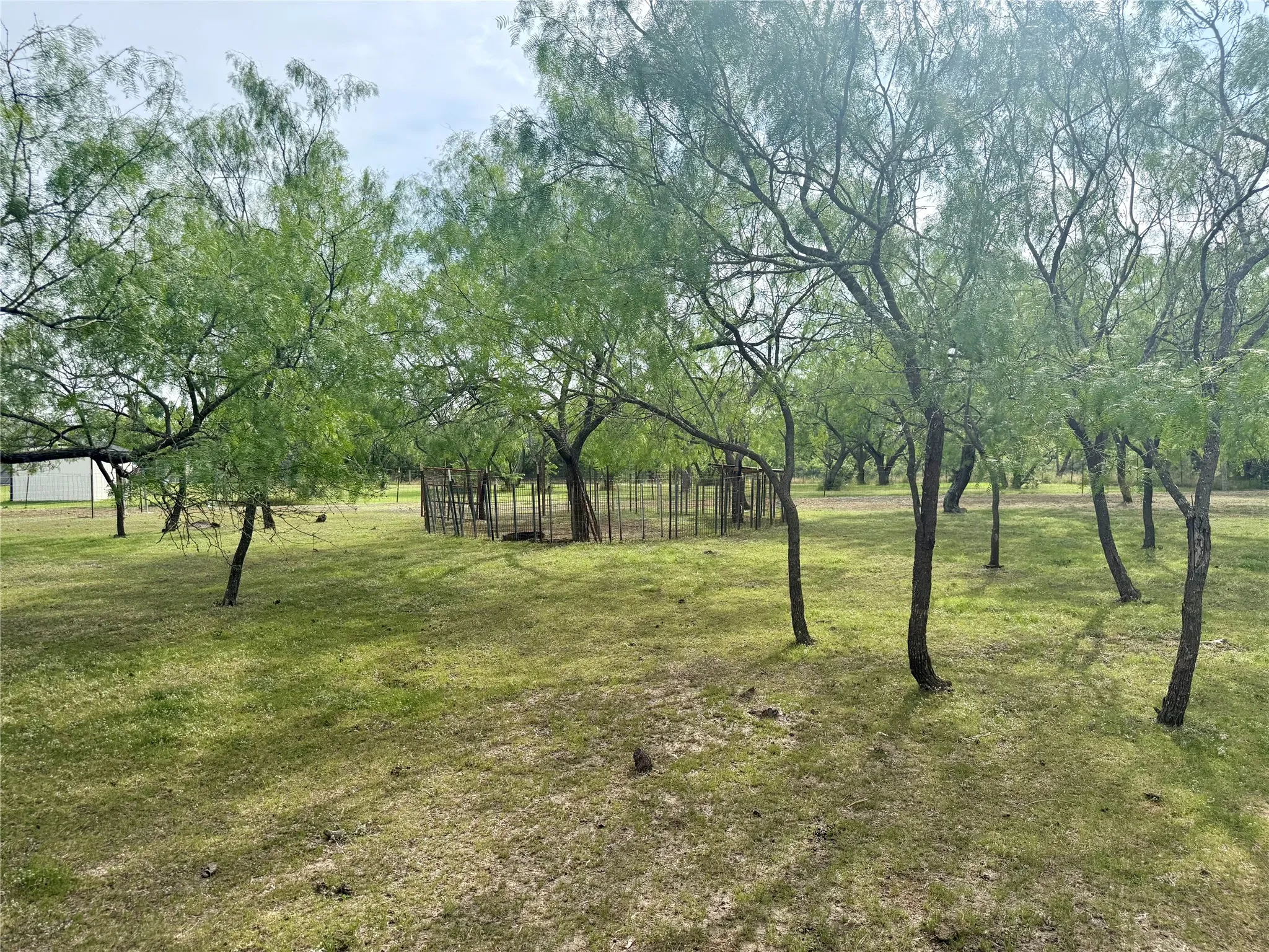 Expansive natural landscape featuring numerous mature trees and open grassy areas