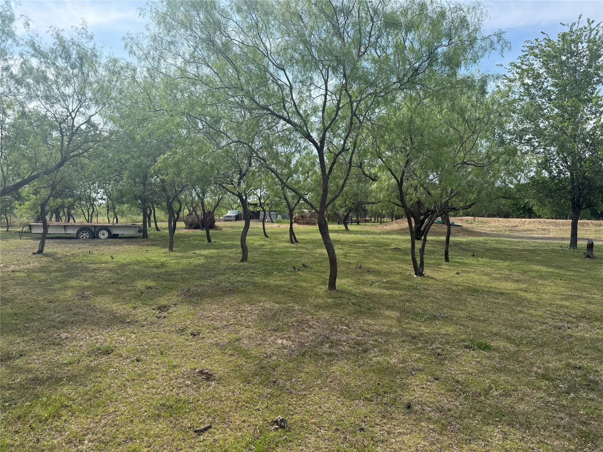 Expansive grounds featuring numerous mature trees and a substantial grassy area