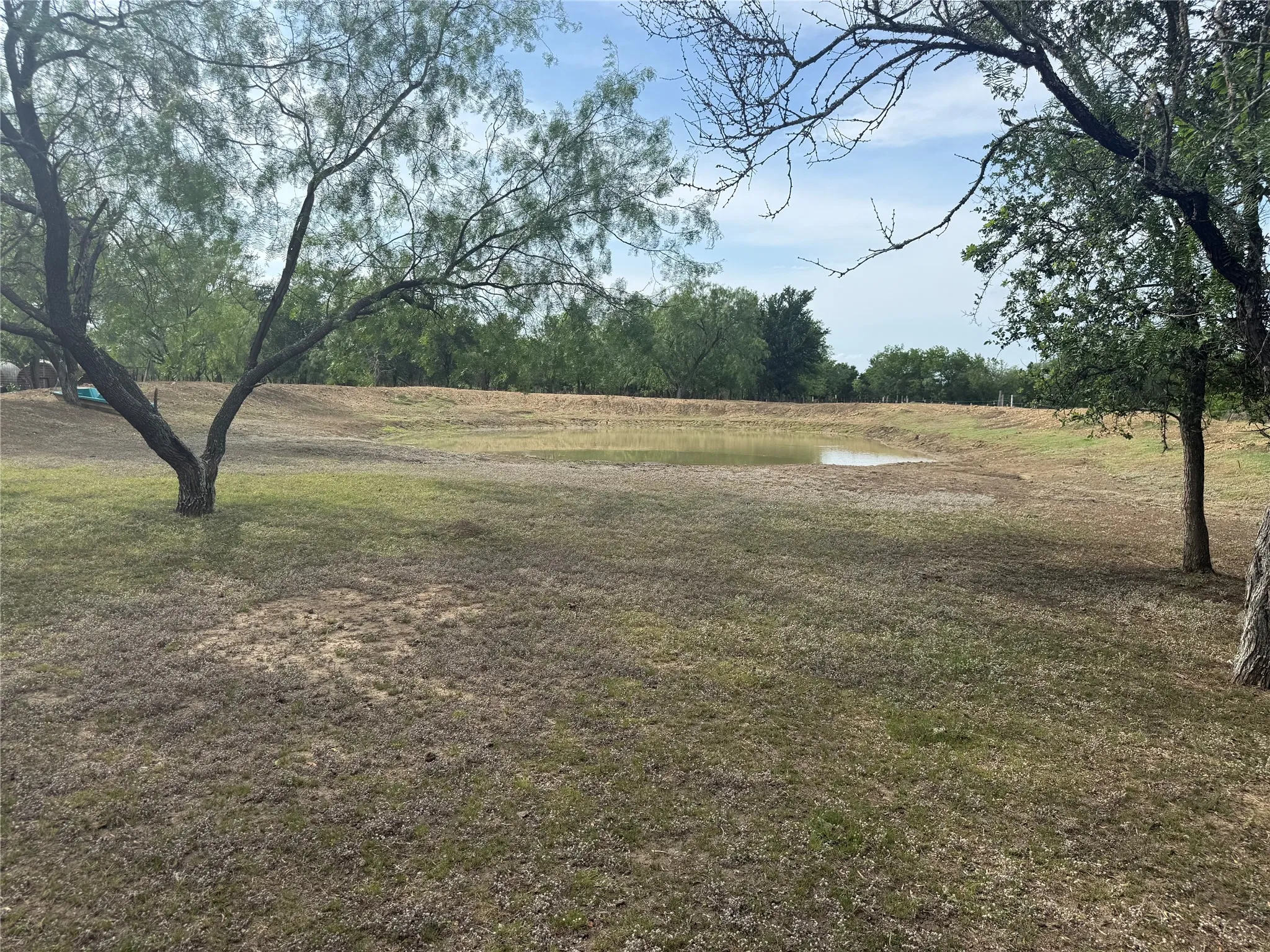 Expansive open terrain featuring a natural water body and mature trees