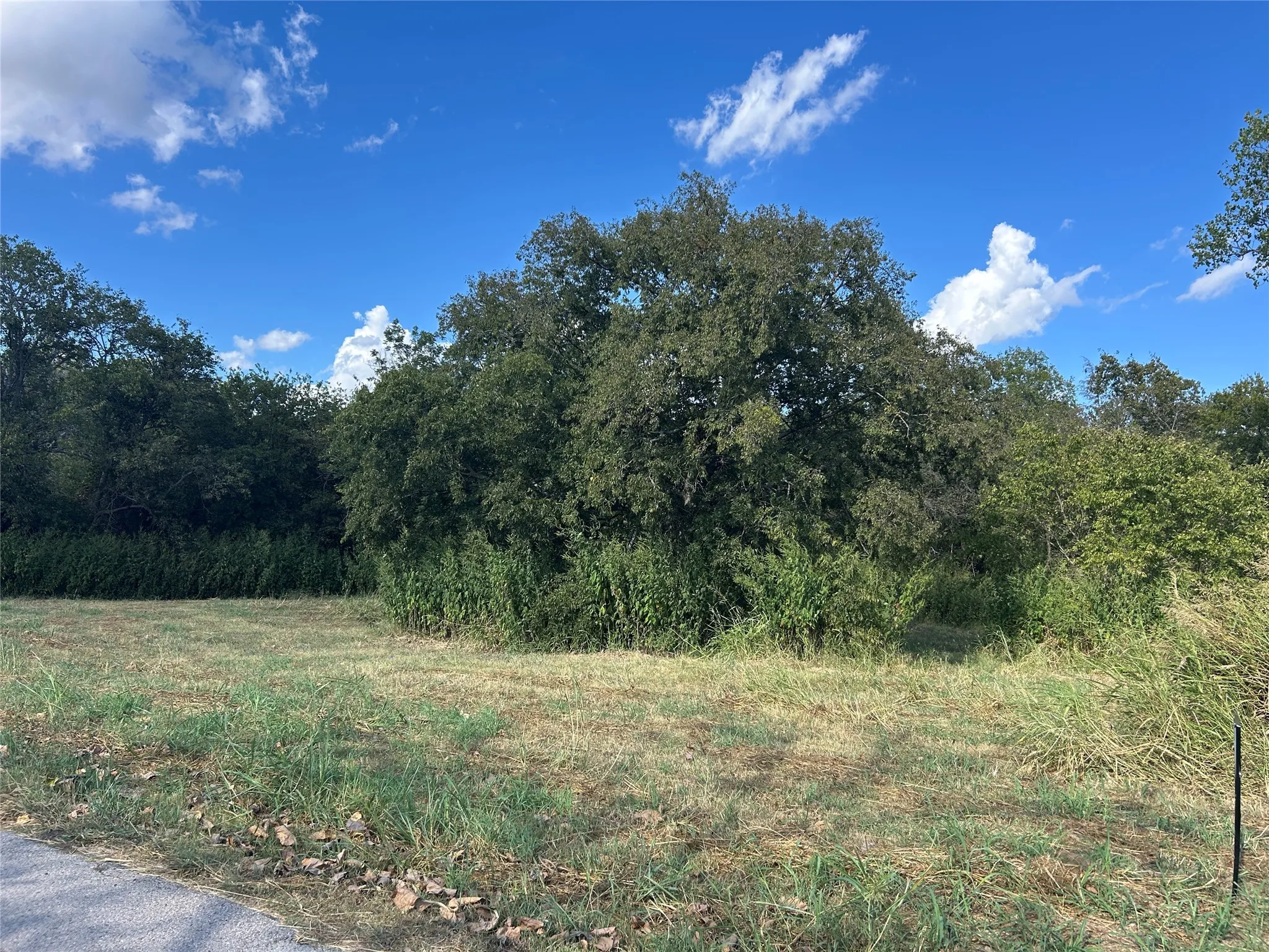Unimproved Land For Sale in Johnson County , 301 Inez Hardy Way, Grandview, Texas 76050, 0, 0, Garage spaces, 0 Sqft, built in 0, Price $64,000, mls#21295131, Real Estate Agent in Grandview, Homes For Sale in Johnson county, Homes For Sale in Grandview, Realtor in Grandview Texas, Real Estate Brokerage Independent Realty Texas, Luminita Cordes Realtor