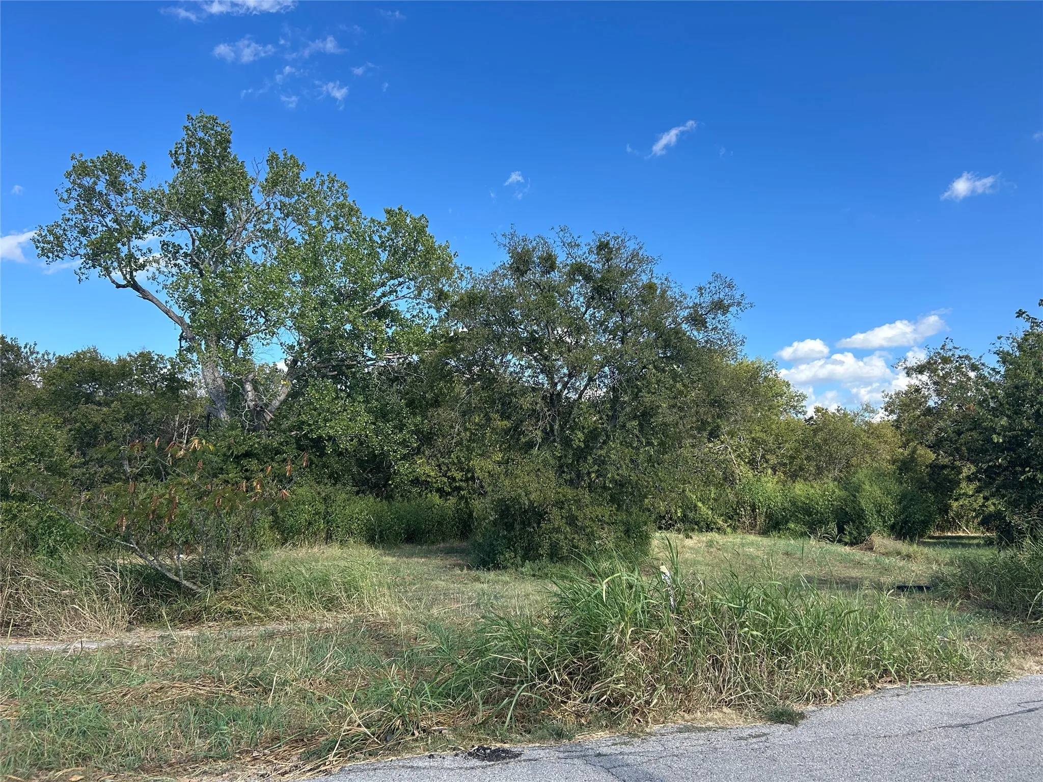 Unimproved Land For Sale in Johnson County , 303 Inez Hardy Way, Grandview, Texas 76050, 0, 0, Garage spaces, 0 Sqft, built in 0, Price $64,000, mls#21295177, Real Estate Agent in Grandview, Homes For Sale in Johnson county, Homes For Sale in Grandview, Realtor in Grandview Texas, Real Estate Brokerage Independent Realty Texas, Luminita Cordes Realtor