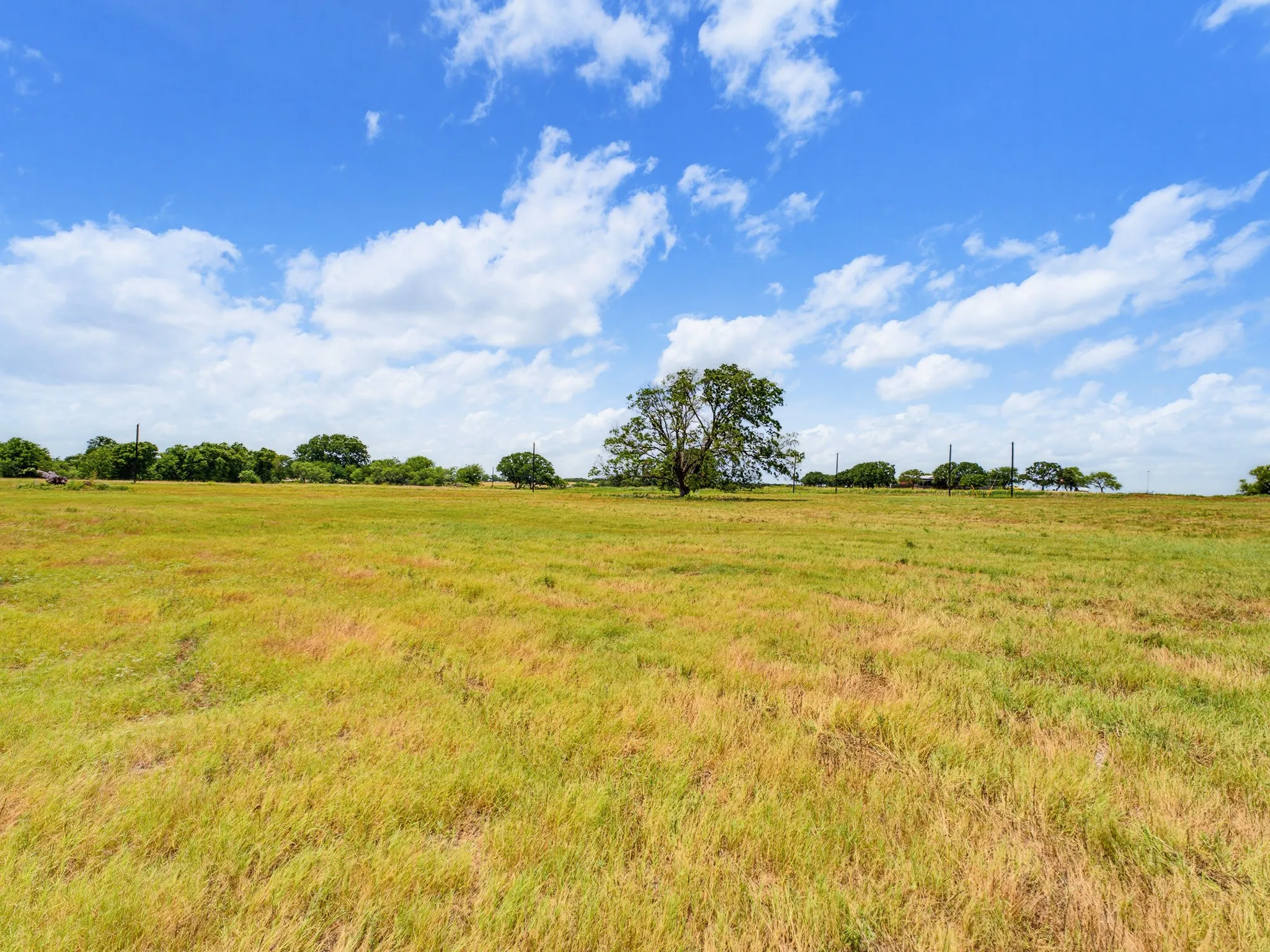 Unimproved Land For Sale in Wise County , Lot 14 County Road 1346, Chico, Texas 76431, 0, 0, Garage spaces, 0 Sqft, built in 0, Price $134,000, mls#21295255, Real Estate Agent in Chico, Homes For Sale in Wise county, Homes For Sale in Chico, Realtor in Chico Texas, Real Estate Brokerage Independent Realty Texas, Luminita Cordes Realtor