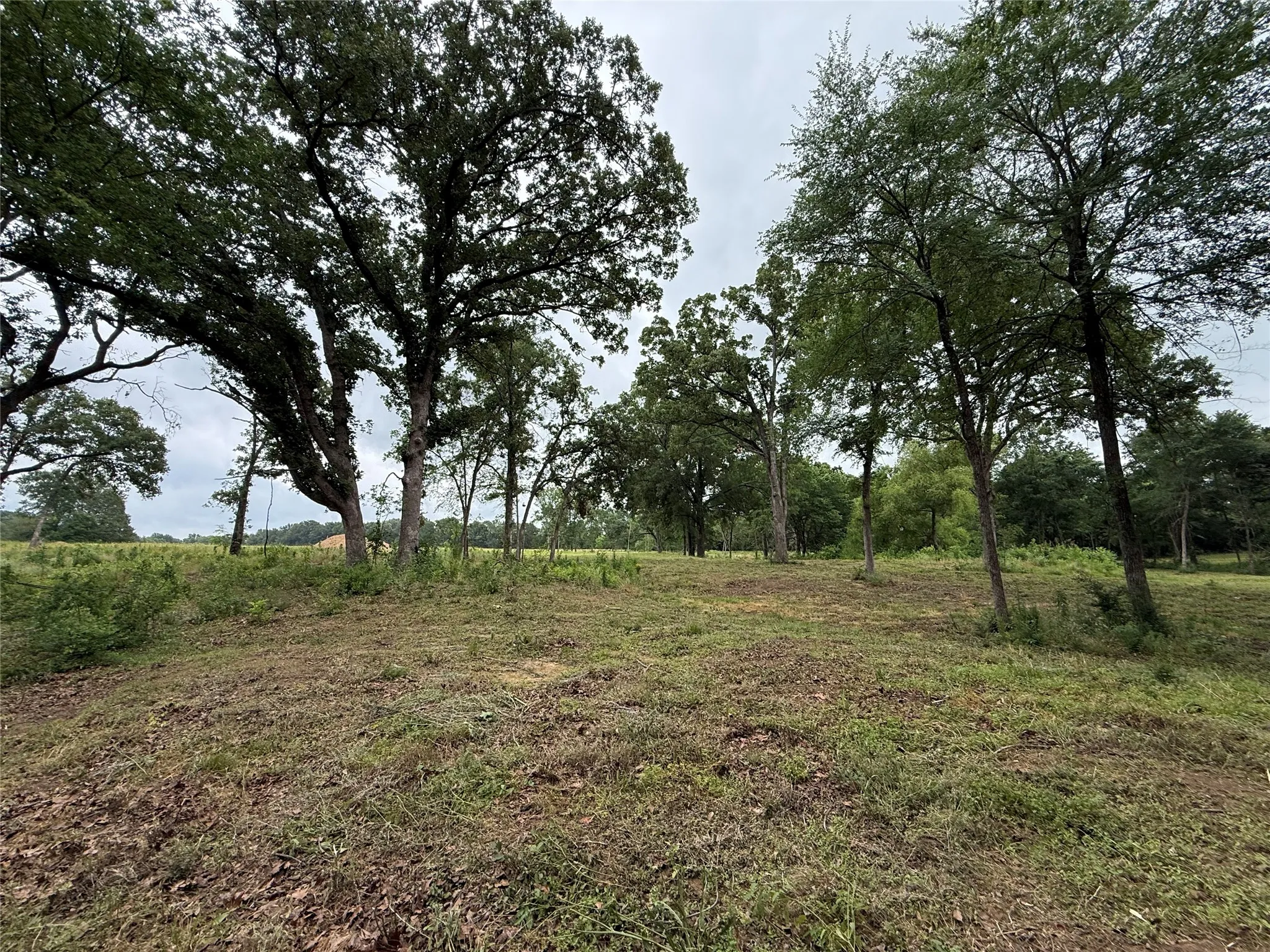 Unimproved Land For Sale in Van Zandt County , 210 Livingston Street, Edgewood, Texas 75117, 0, 0, Garage spaces, 0 Sqft, built in 0, mls#21295145, Real Estate Agent in Edgewood, Homes For Sale in Van Zandt county, Homes For Sale in Edgewood, Realtor in Edgewood Texas, Real Estate Brokerage Independent Realty Texas, Luminita Cordes Realtor