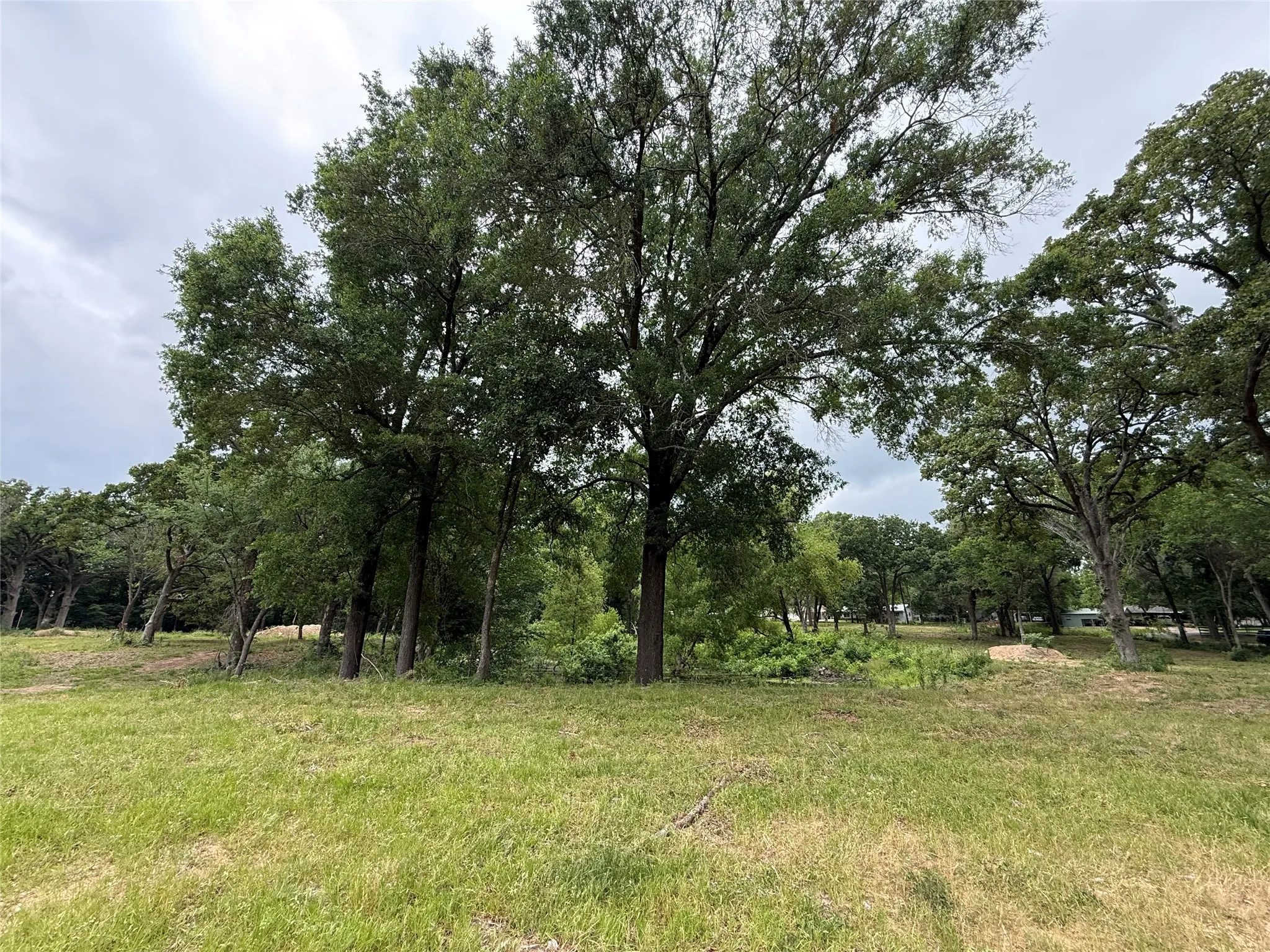 Unimproved Land For Sale in Van Zandt County , 210 Livingston Street, Edgewood, Texas 75117, 0, 0, Garage spaces, 0 Sqft, built in 0, mls#21295145, Real Estate Agent in Edgewood, Homes For Sale in Van Zandt county, Homes For Sale in Edgewood, Realtor in Edgewood Texas, Real Estate Brokerage Independent Realty Texas, Luminita Cordes Realtor