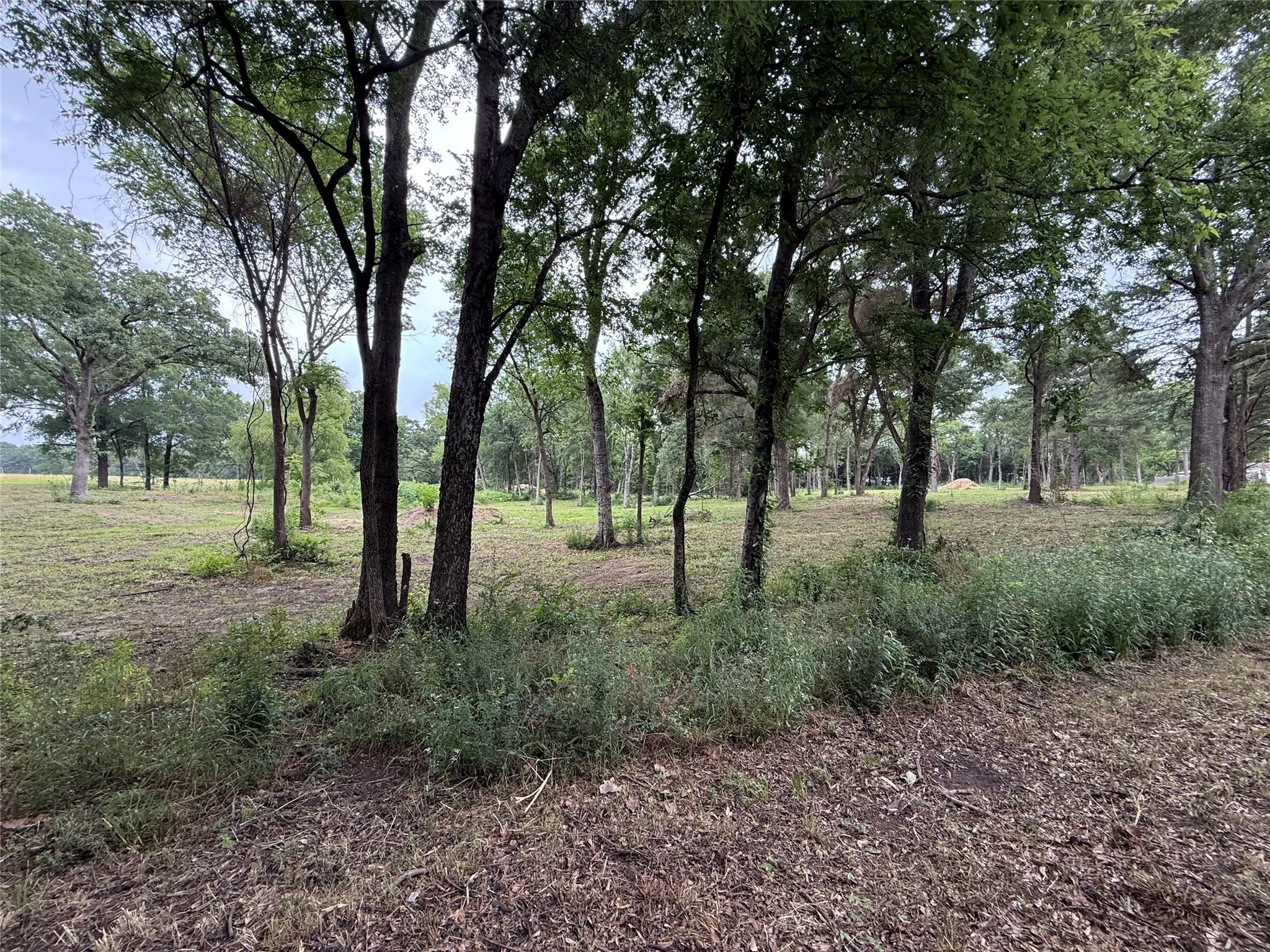 Unimproved Land For Sale in Van Zandt County , 210 Livingston Street, Edgewood, Texas 75117, 0, 0, Garage spaces, 0 Sqft, built in 0, mls#21295145, Real Estate Agent in Edgewood, Homes For Sale in Van Zandt county, Homes For Sale in Edgewood, Realtor in Edgewood Texas, Real Estate Brokerage Independent Realty Texas, Luminita Cordes Realtor