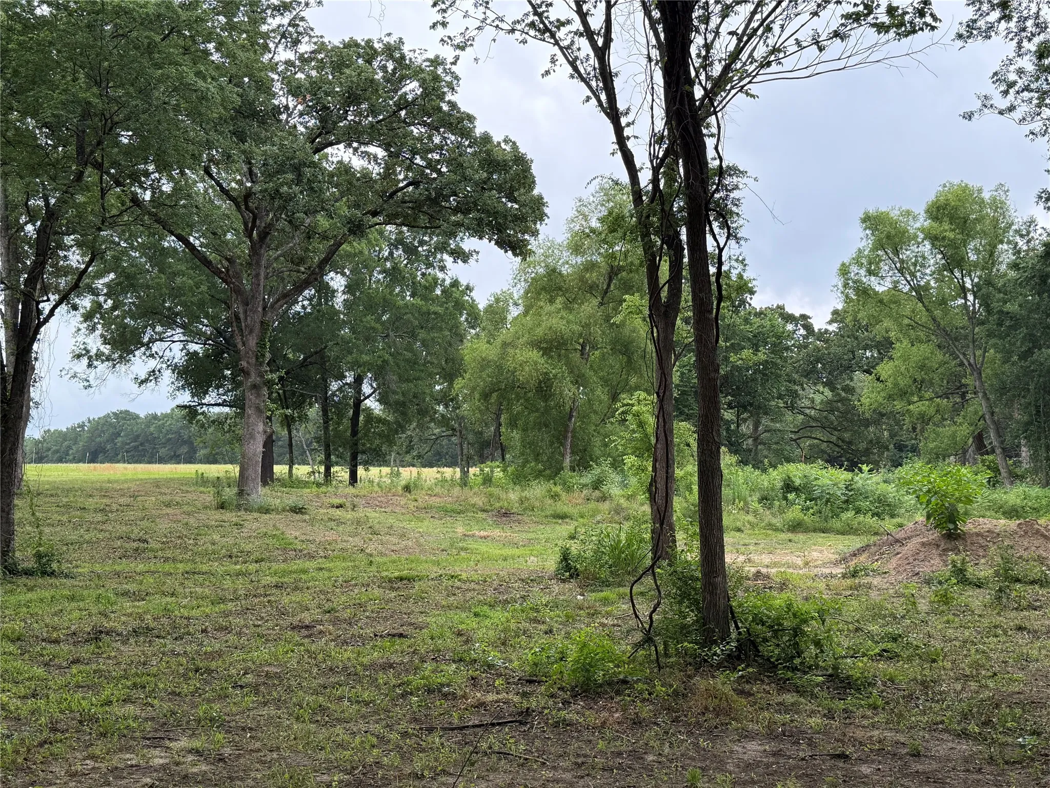 Unimproved Land For Sale in Van Zandt County , 210 Livingston Street, Edgewood, Texas 75117, 0, 0, Garage spaces, 0 Sqft, built in 0, mls#21295145, Real Estate Agent in Edgewood, Homes For Sale in Van Zandt county, Homes For Sale in Edgewood, Realtor in Edgewood Texas, Real Estate Brokerage Independent Realty Texas, Luminita Cordes Realtor