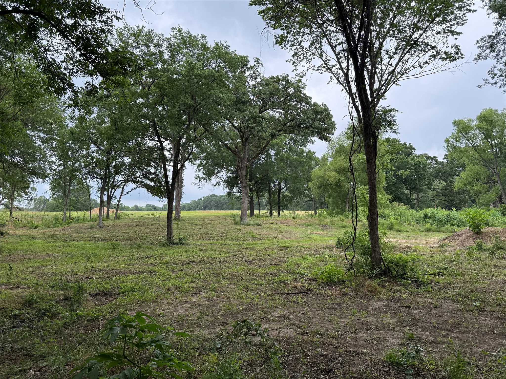 Unimproved Land For Sale in Van Zandt County , 210 Livingston Street, Edgewood, Texas 75117, 0, 0, Garage spaces, 0 Sqft, built in 0, mls#21295145, Real Estate Agent in Edgewood, Homes For Sale in Van Zandt county, Homes For Sale in Edgewood, Realtor in Edgewood Texas, Real Estate Brokerage Independent Realty Texas, Luminita Cordes Realtor