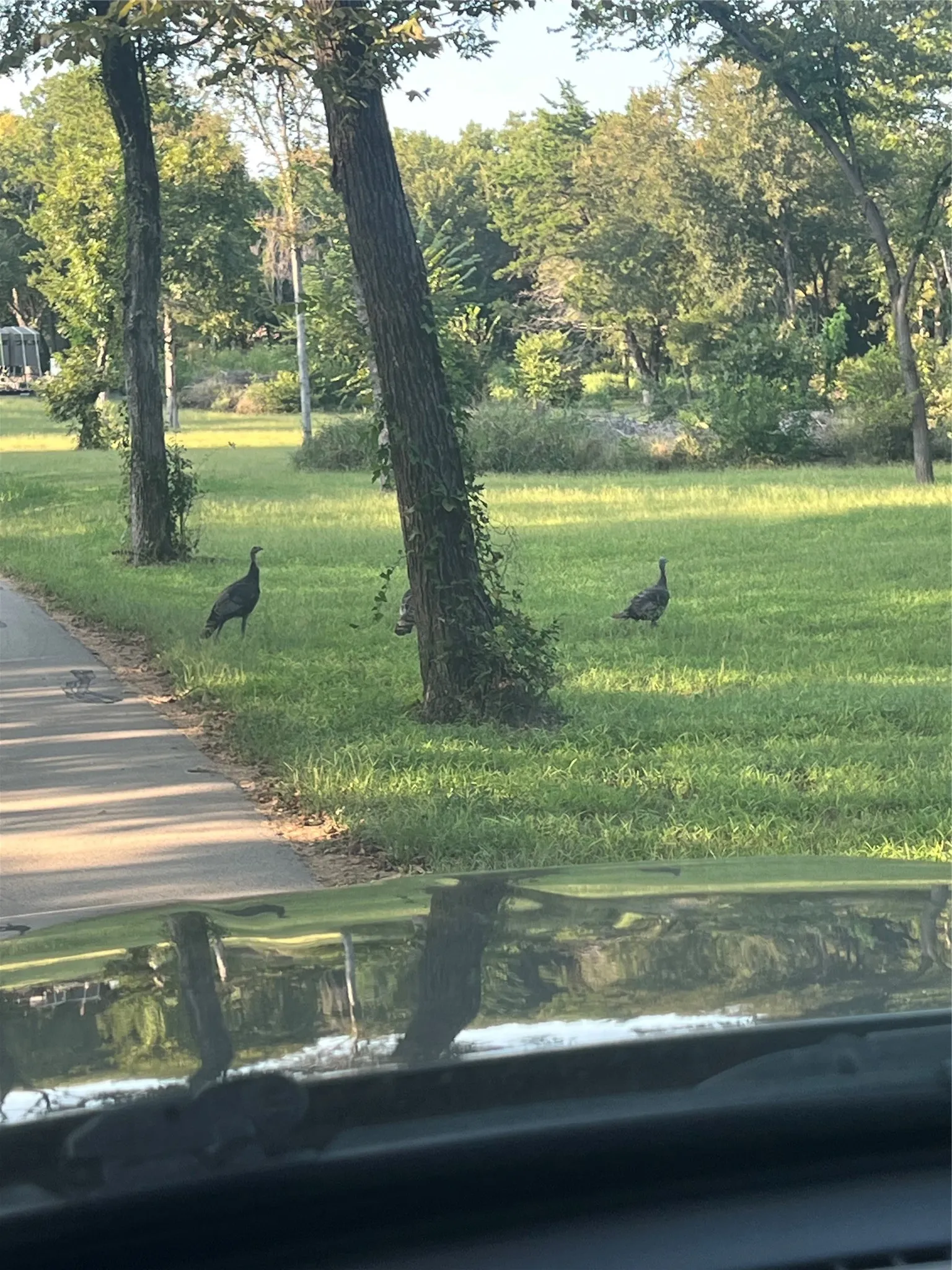 Unimproved Land For Sale in Ellis County , TBD Waterworks Road, Midlothian, Texas 76065, 0, 0, Garage spaces, 0 Sqft, built in 0, Price $450,000, mls#21294338, Real Estate Agent in Midlothian, Homes For Sale in Ellis county, Homes For Sale in Midlothian, Realtor in Midlothian Texas, Real Estate Brokerage Independent Realty Texas, Luminita Cordes Realtor