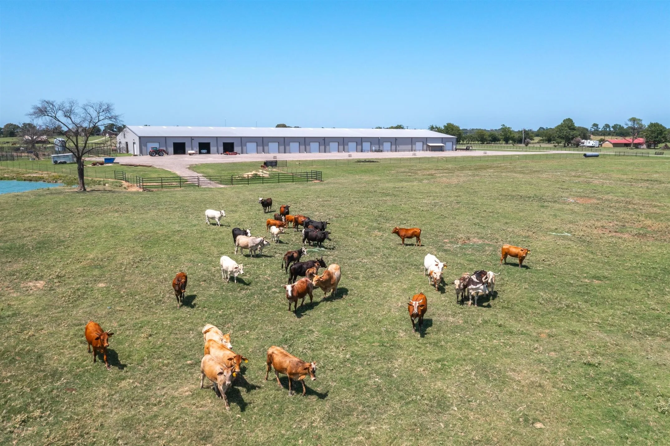 Ranch For Sale in Van Zandt County , 000 Vz County Road 2511, Canton, Texas 75103, 0, 0, Garage spaces, 0 Sqft, built in 2013, Price $2,249,000, mls#21295309, Real Estate Agent in Canton, Homes For Sale in Van Zandt county, Homes For Sale in Canton, Realtor in Canton Texas, Real Estate Brokerage Independent Realty Texas, Luminita Cordes Realtor