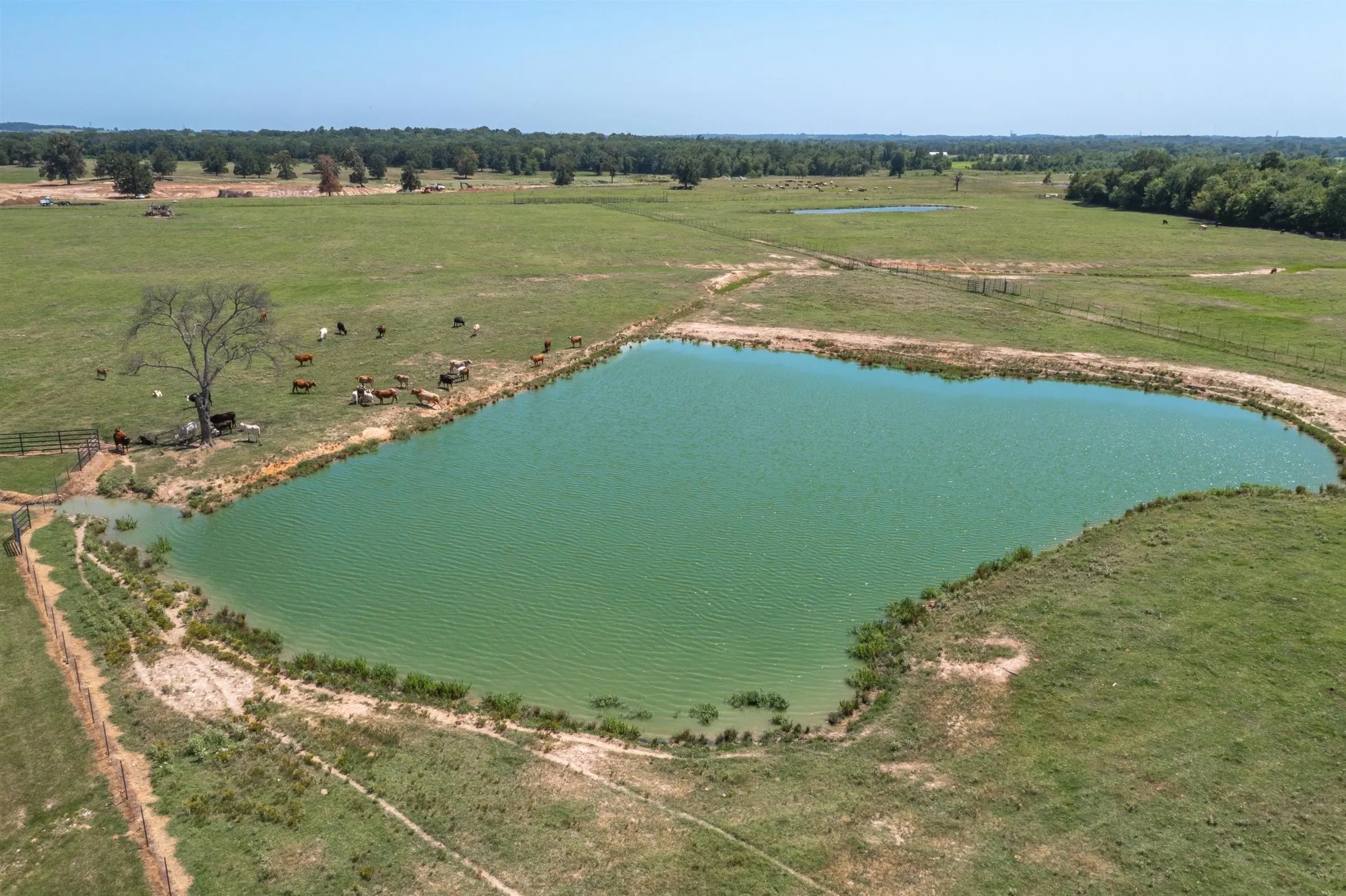 Ranch For Sale in Van Zandt County , 000 Vz County Road 2511, Canton, Texas 75103, 0, 0, Garage spaces, 0 Sqft, built in 2013, Price $2,249,000, mls#21295309, Real Estate Agent in Canton, Homes For Sale in Van Zandt county, Homes For Sale in Canton, Realtor in Canton Texas, Real Estate Brokerage Independent Realty Texas, Luminita Cordes Realtor