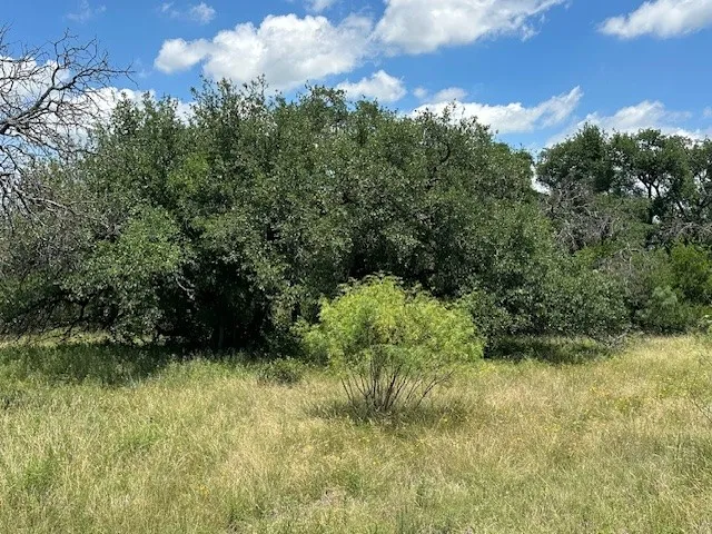 Unimproved Land For Sale in Comanche County , 000 Tract 19, 165 County Road, Sidney, Texas 76474, 0, 0, Garage spaces, 0 Sqft, built in 0, mls#21295339, Real Estate Agent in Sidney, Homes For Sale in Comanche county, Homes For Sale in Sidney, Realtor in Sidney Texas, Real Estate Brokerage Independent Realty Texas, Luminita Cordes Realtor