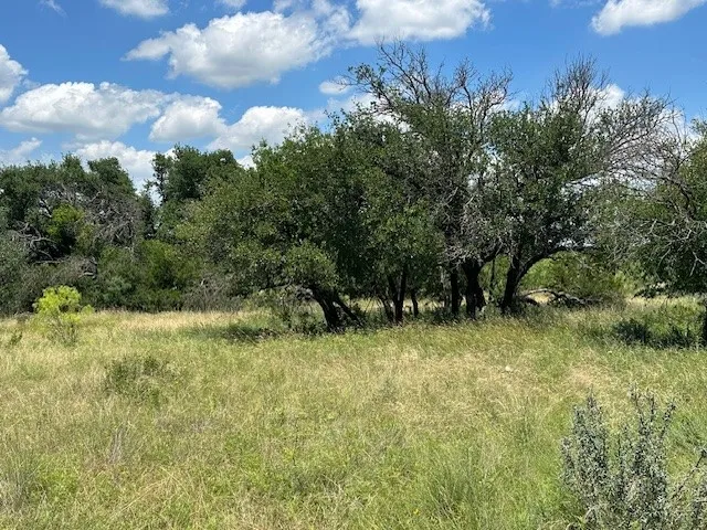 Unimproved Land For Sale in Comanche County , 000 Tract 19, 165 County Road, Sidney, Texas 76474, 0, 0, Garage spaces, 0 Sqft, built in 0, mls#21295339, Real Estate Agent in Sidney, Homes For Sale in Comanche county, Homes For Sale in Sidney, Realtor in Sidney Texas, Real Estate Brokerage Independent Realty Texas, Luminita Cordes Realtor
