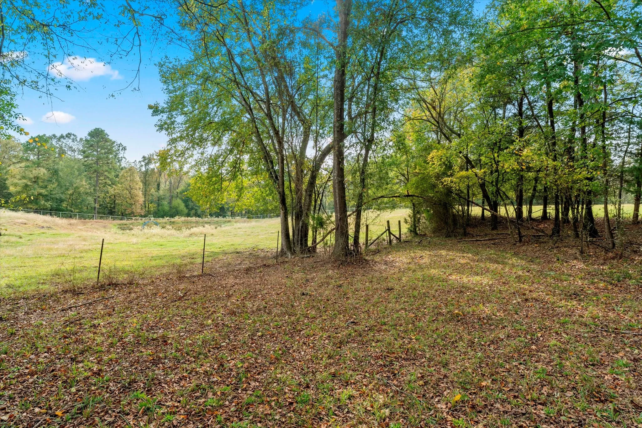 Unimproved Land For Sale in Titus County , TBD County Road 1690, Mt Pleasant, Texas 75455, 0, 0, Garage spaces, 0 Sqft, built in 0, mls#21295522, Real Estate Agent in Mt Pleasant, Homes For Sale in Titus county, Homes For Sale in Mt Pleasant, Realtor in Mt Pleasant Texas, Real Estate Brokerage Independent Realty Texas, Luminita Cordes Realtor