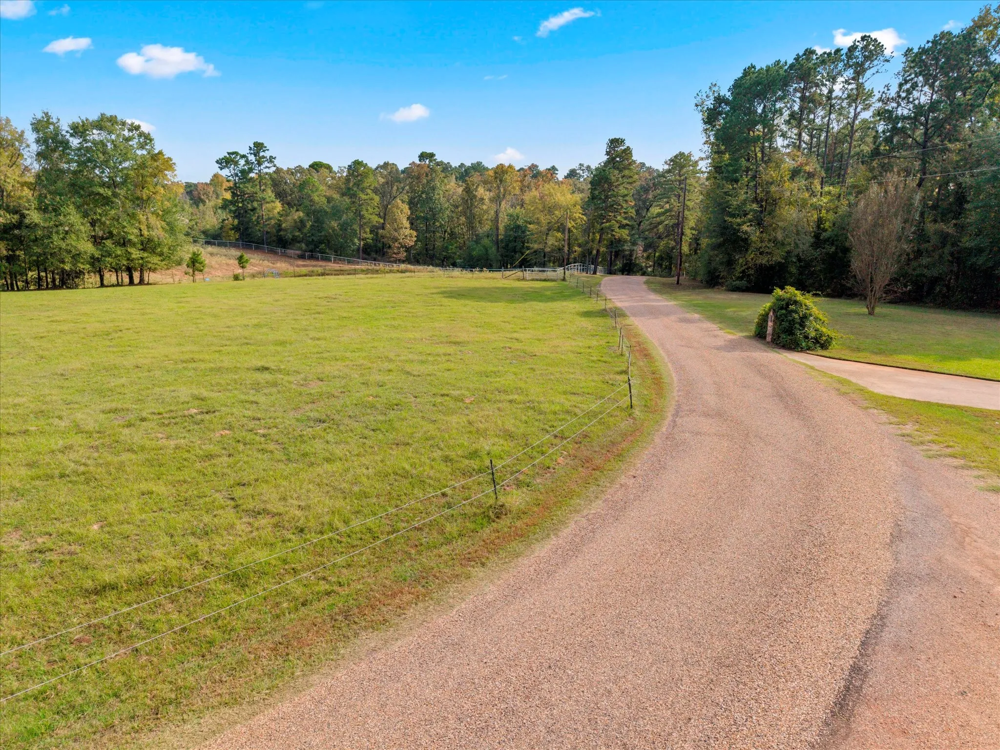 Unimproved Land For Sale in Titus County , TBD County Road 1690, Mt Pleasant, Texas 75455, 0, 0, Garage spaces, 0 Sqft, built in 0, mls#21295522, Real Estate Agent in Mt Pleasant, Homes For Sale in Titus county, Homes For Sale in Mt Pleasant, Realtor in Mt Pleasant Texas, Real Estate Brokerage Independent Realty Texas, Luminita Cordes Realtor