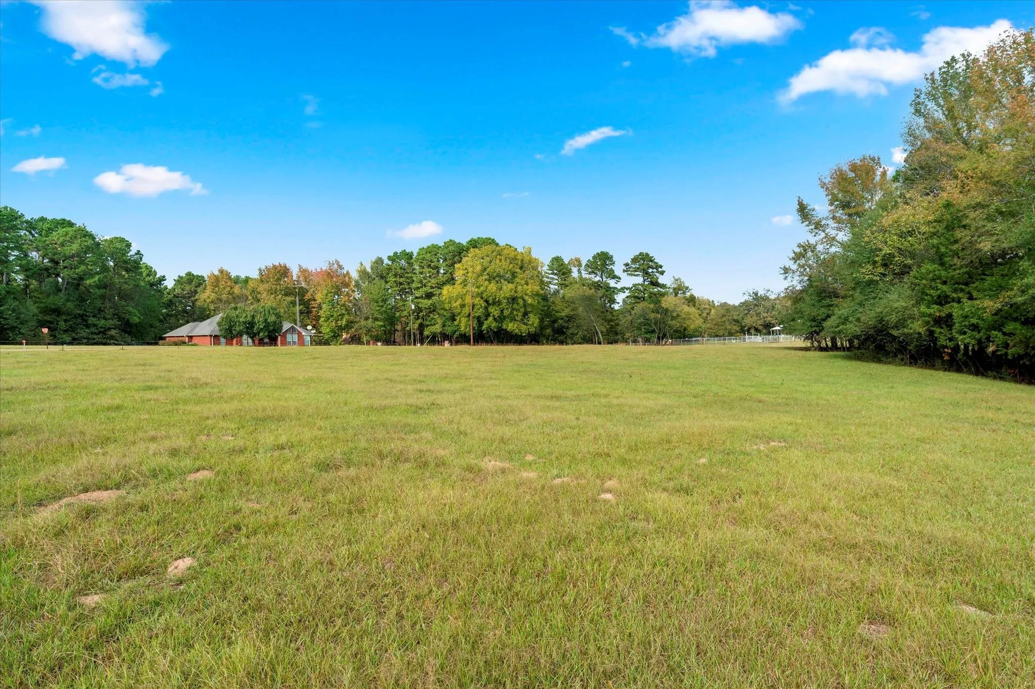Unimproved Land For Sale in Titus County , TBD County Road 1690, Mt Pleasant, Texas 75455, 0, 0, Garage spaces, 0 Sqft, built in 0, mls#21295522, Real Estate Agent in Mt Pleasant, Homes For Sale in Titus county, Homes For Sale in Mt Pleasant, Realtor in Mt Pleasant Texas, Real Estate Brokerage Independent Realty Texas, Luminita Cordes Realtor