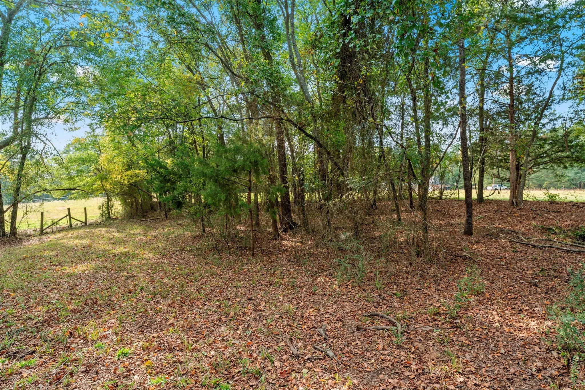 Unimproved Land For Sale in Titus County , TBD County Road 1690, Mt Pleasant, Texas 75455, 0, 0, Garage spaces, 0 Sqft, built in 0, mls#21295522, Real Estate Agent in Mt Pleasant, Homes For Sale in Titus county, Homes For Sale in Mt Pleasant, Realtor in Mt Pleasant Texas, Real Estate Brokerage Independent Realty Texas, Luminita Cordes Realtor