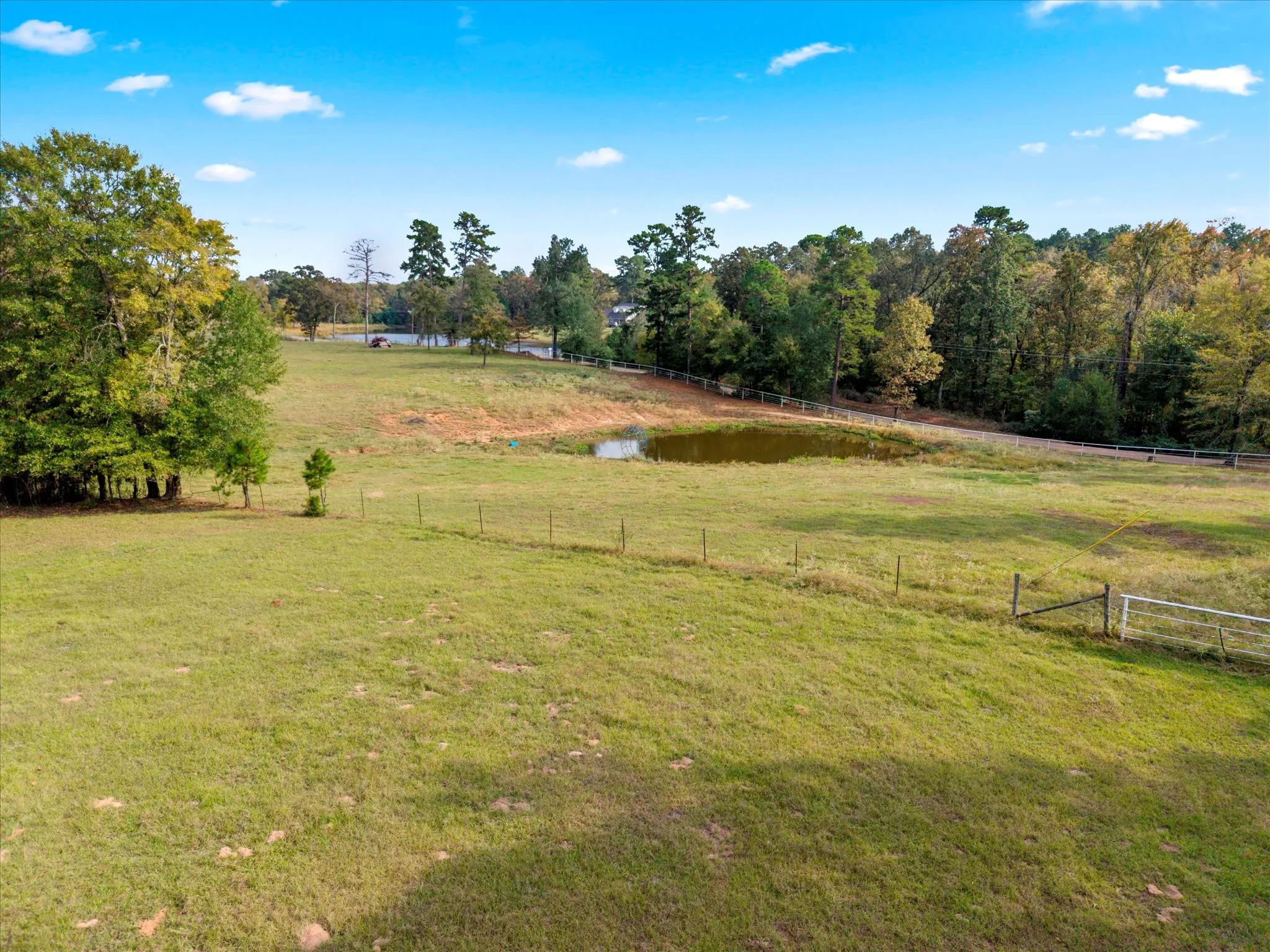 Unimproved Land For Sale in Titus County , TBD County Road 1690, Mt Pleasant, Texas 75455, 0, 0, Garage spaces, 0 Sqft, built in 0, mls#21295522, Real Estate Agent in Mt Pleasant, Homes For Sale in Titus county, Homes For Sale in Mt Pleasant, Realtor in Mt Pleasant Texas, Real Estate Brokerage Independent Realty Texas, Luminita Cordes Realtor