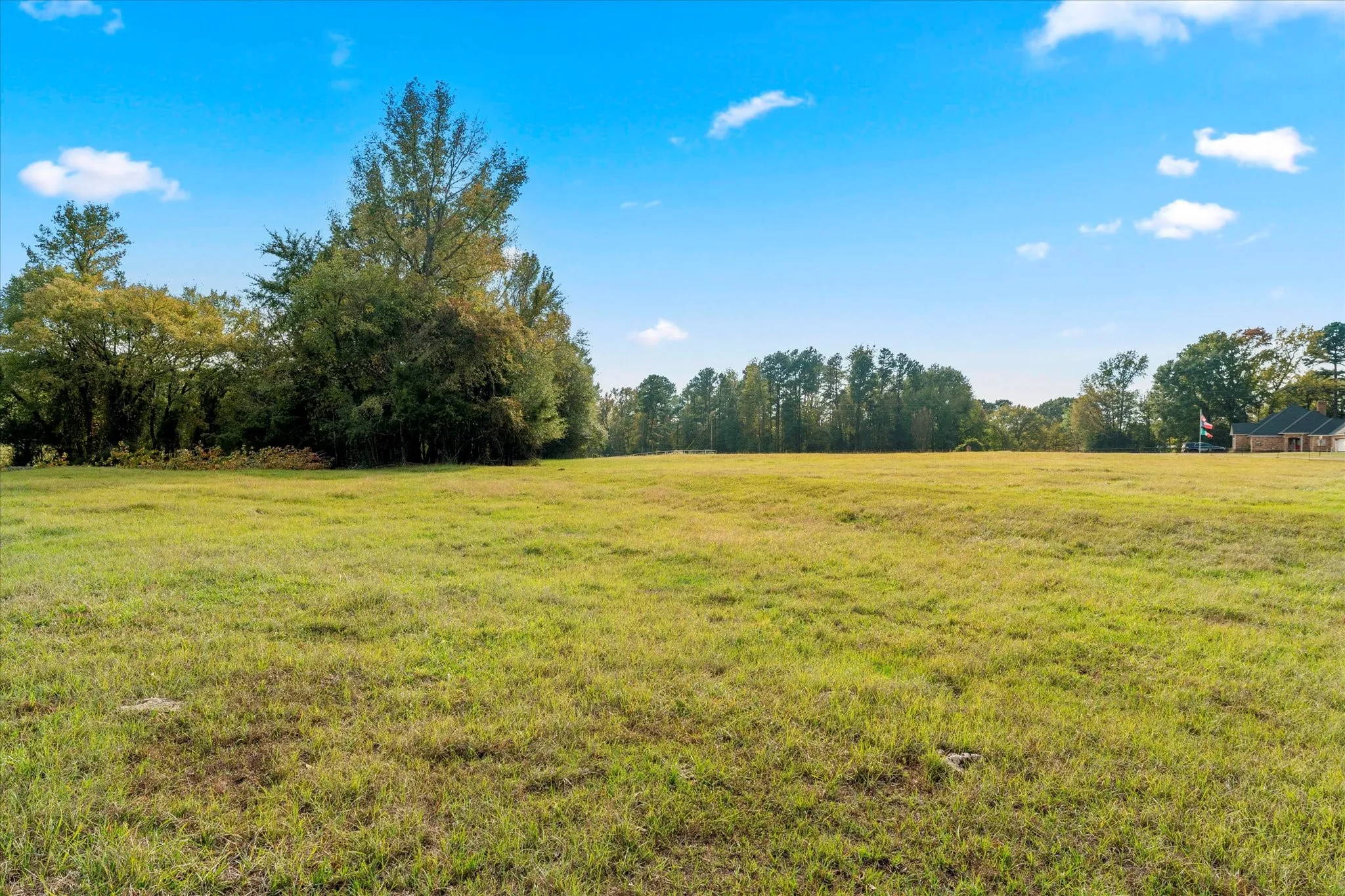 Unimproved Land For Sale in Titus County , TBD County Road 1690, Mt Pleasant, Texas 75455, 0, 0, Garage spaces, 0 Sqft, built in 0, mls#21295522, Real Estate Agent in Mt Pleasant, Homes For Sale in Titus county, Homes For Sale in Mt Pleasant, Realtor in Mt Pleasant Texas, Real Estate Brokerage Independent Realty Texas, Luminita Cordes Realtor