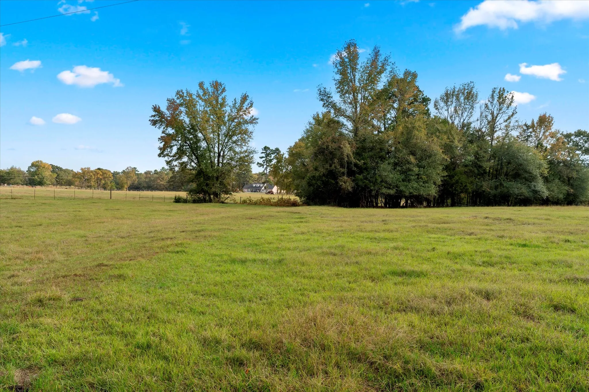 Unimproved Land For Sale in Titus County , TBD County Road 1690, Mt Pleasant, Texas 75455, 0, 0, Garage spaces, 0 Sqft, built in 0, mls#21295522, Real Estate Agent in Mt Pleasant, Homes For Sale in Titus county, Homes For Sale in Mt Pleasant, Realtor in Mt Pleasant Texas, Real Estate Brokerage Independent Realty Texas, Luminita Cordes Realtor