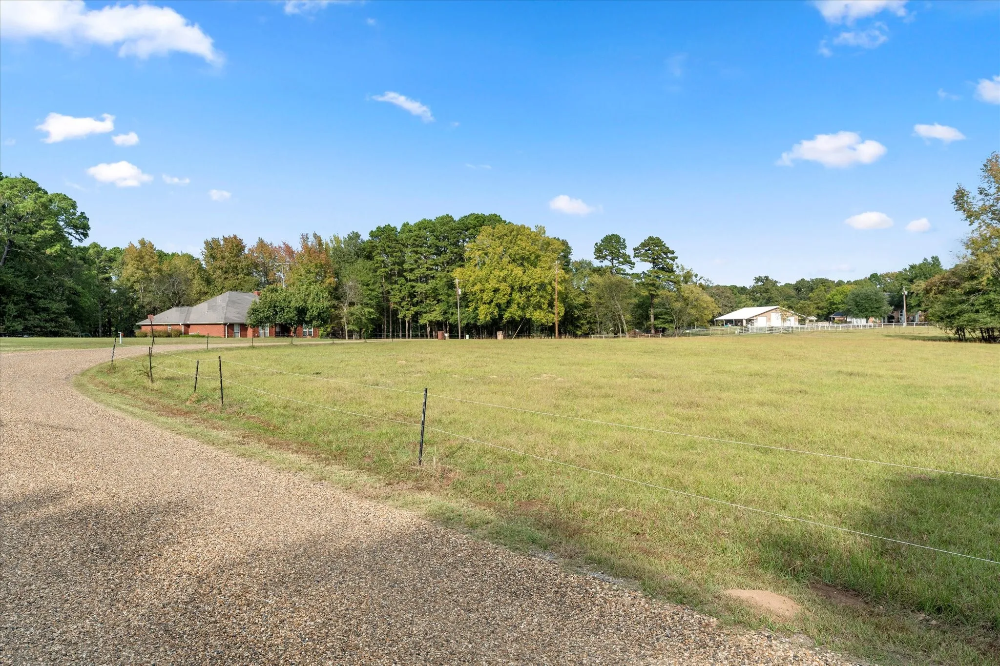Unimproved Land For Sale in Titus County , TBD County Road 1690, Mt Pleasant, Texas 75455, 0, 0, Garage spaces, 0 Sqft, built in 0, mls#21295522, Real Estate Agent in Mt Pleasant, Homes For Sale in Titus county, Homes For Sale in Mt Pleasant, Realtor in Mt Pleasant Texas, Real Estate Brokerage Independent Realty Texas, Luminita Cordes Realtor