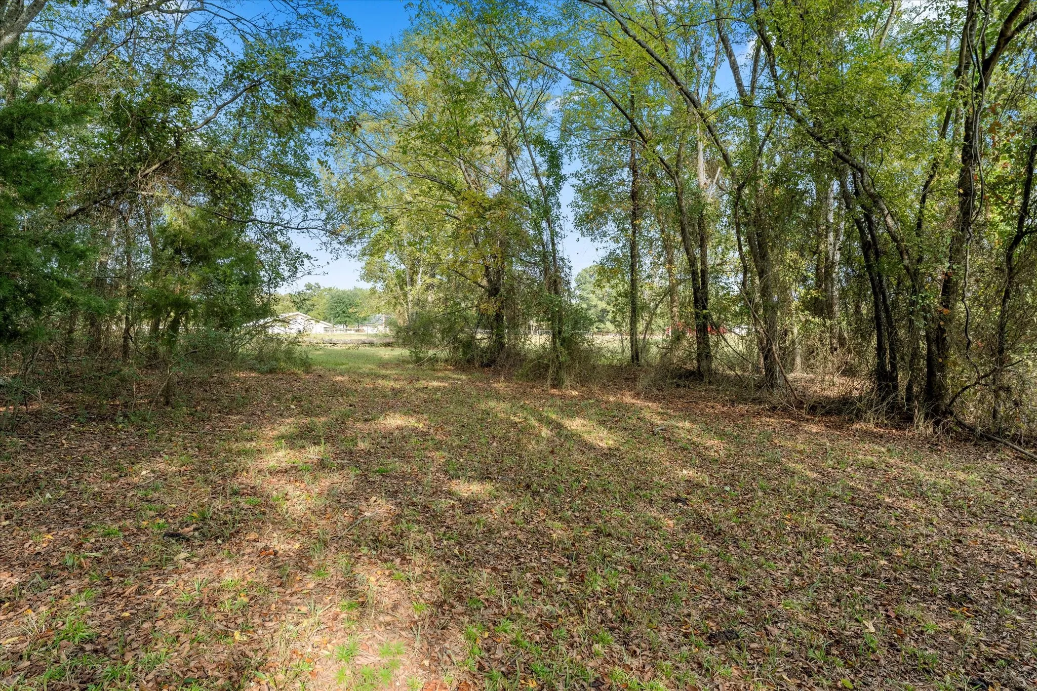 Unimproved Land For Sale in Titus County , TBD County Road 1690, Mt Pleasant, Texas 75455, 0, 0, Garage spaces, 0 Sqft, built in 0, mls#21295522, Real Estate Agent in Mt Pleasant, Homes For Sale in Titus county, Homes For Sale in Mt Pleasant, Realtor in Mt Pleasant Texas, Real Estate Brokerage Independent Realty Texas, Luminita Cordes Realtor