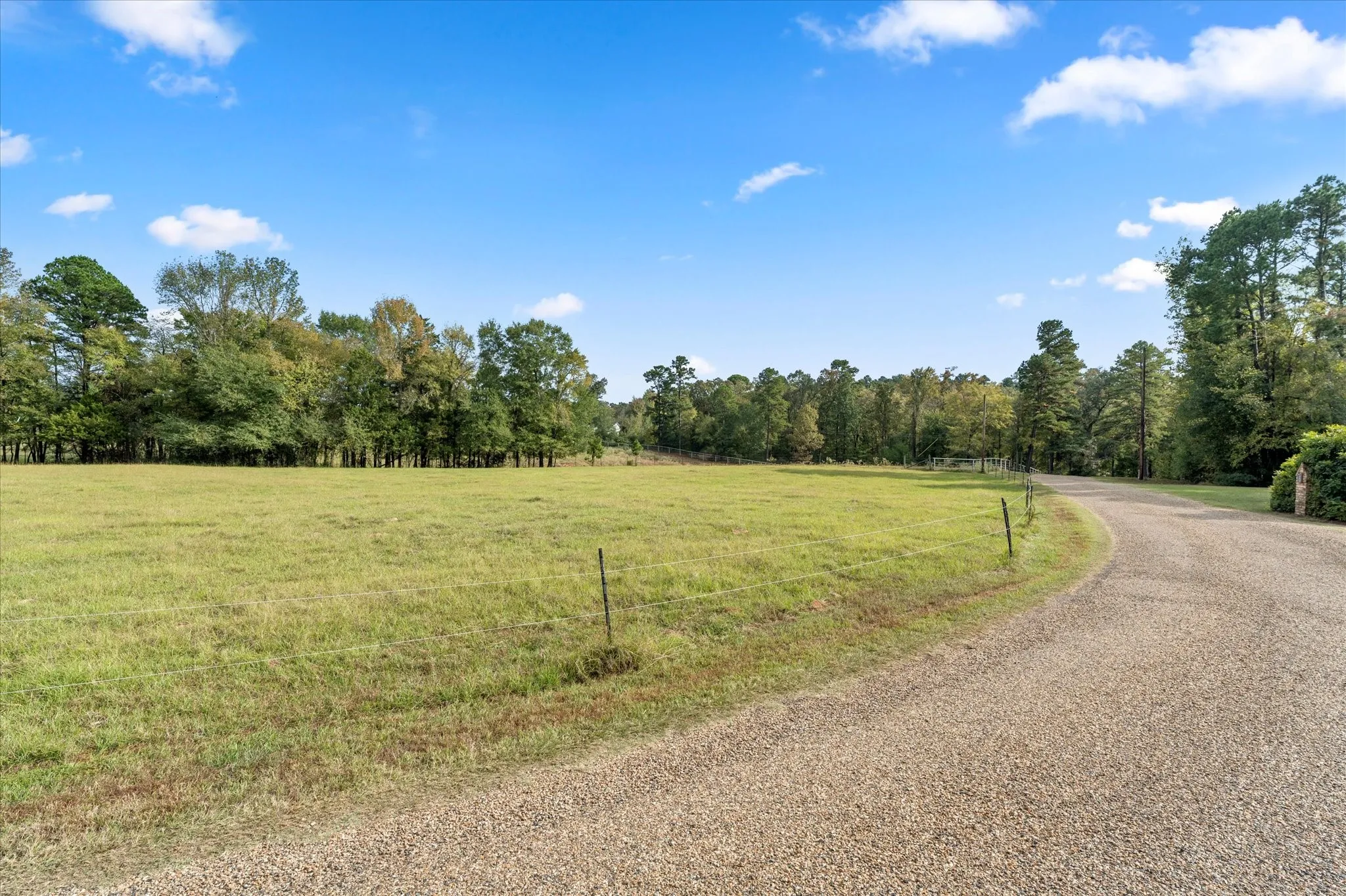 Unimproved Land For Sale in Titus County , TBD County Road 1690, Mt Pleasant, Texas 75455, 0, 0, Garage spaces, 0 Sqft, built in 0, mls#21295522, Real Estate Agent in Mt Pleasant, Homes For Sale in Titus county, Homes For Sale in Mt Pleasant, Realtor in Mt Pleasant Texas, Real Estate Brokerage Independent Realty Texas, Luminita Cordes Realtor