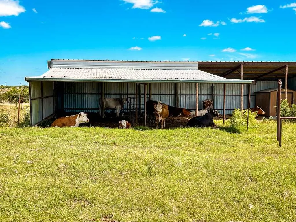 Ranch For Sale in Coryell County , 2455 FM 116, Gatesville, Texas 76528, 0, 0, Garage spaces, 0 Sqft, built in 0, mls#21295515, Real Estate Agent in Gatesville, Homes For Sale in Coryell county, Homes For Sale in Gatesville, Realtor in Gatesville Texas, Real Estate Brokerage Independent Realty Texas, Luminita Cordes Realtor