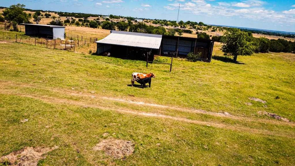 Ranch For Sale in Coryell County , 2455 FM 116, Gatesville, Texas 76528, 0, 0, Garage spaces, 0 Sqft, built in 0, mls#21295515, Real Estate Agent in Gatesville, Homes For Sale in Coryell county, Homes For Sale in Gatesville, Realtor in Gatesville Texas, Real Estate Brokerage Independent Realty Texas, Luminita Cordes Realtor