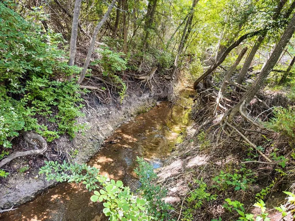 Ranch For Sale in Coryell County , 2455 FM 116, Gatesville, Texas 76528, 0, 0, Garage spaces, 0 Sqft, built in 0, mls#21295515, Real Estate Agent in Gatesville, Homes For Sale in Coryell county, Homes For Sale in Gatesville, Realtor in Gatesville Texas, Real Estate Brokerage Independent Realty Texas, Luminita Cordes Realtor