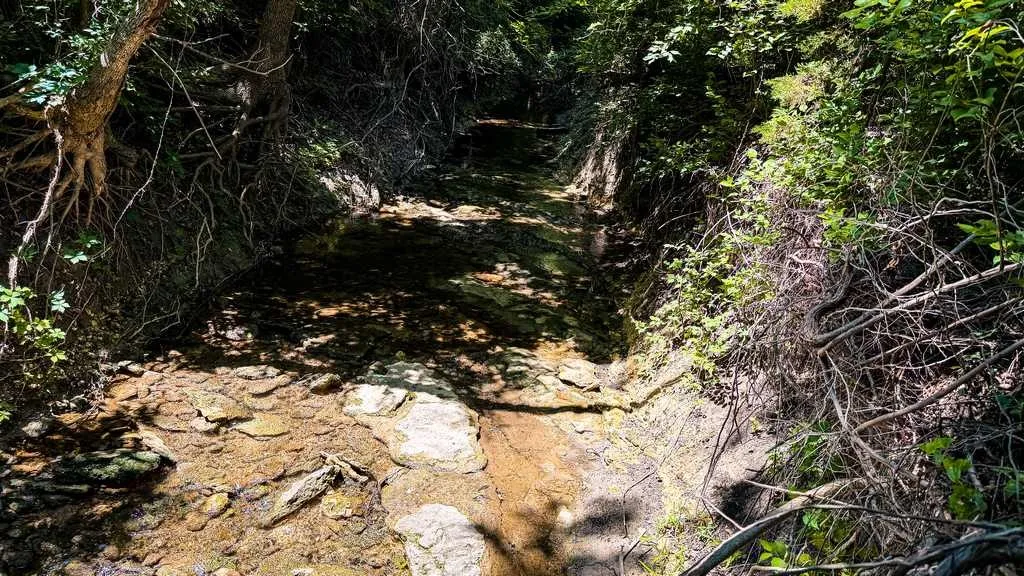 Ranch For Sale in Coryell County , 2455 FM 116, Gatesville, Texas 76528, 0, 0, Garage spaces, 0 Sqft, built in 0, mls#21295515, Real Estate Agent in Gatesville, Homes For Sale in Coryell county, Homes For Sale in Gatesville, Realtor in Gatesville Texas, Real Estate Brokerage Independent Realty Texas, Luminita Cordes Realtor