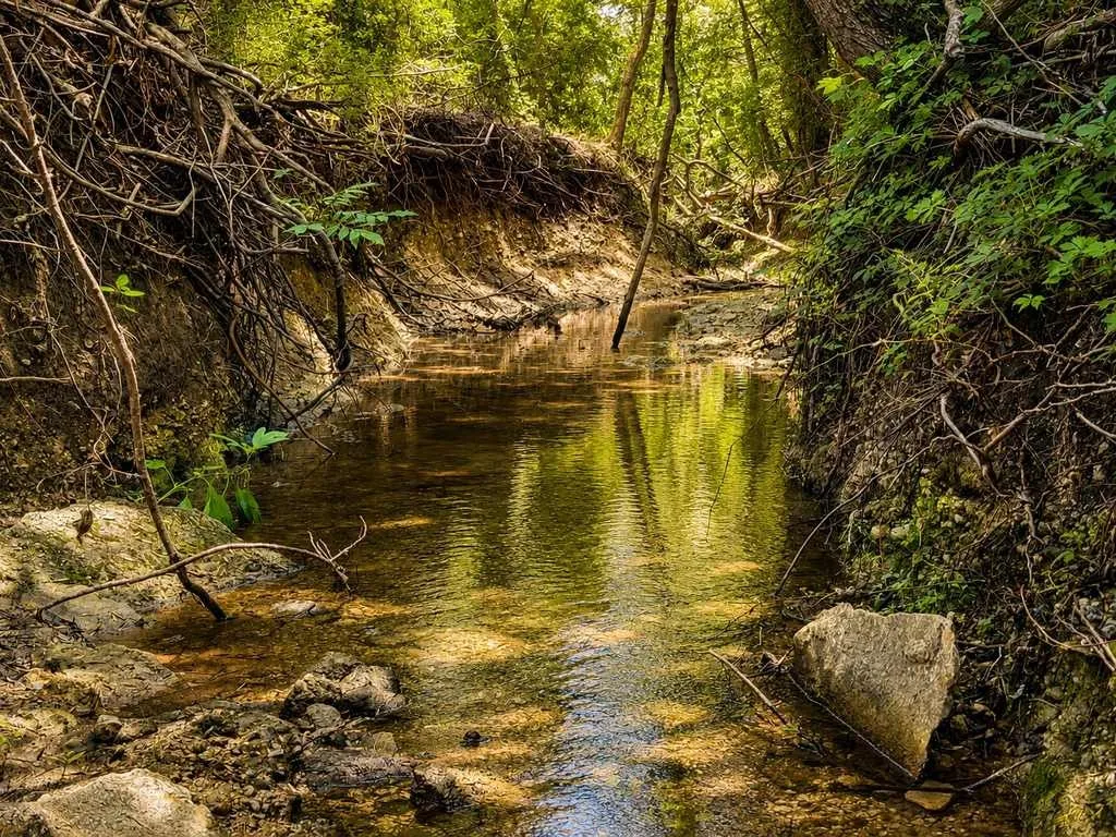 Ranch For Sale in Coryell County , 2455 FM 116, Gatesville, Texas 76528, 0, 0, Garage spaces, 0 Sqft, built in 0, mls#21295515, Real Estate Agent in Gatesville, Homes For Sale in Coryell county, Homes For Sale in Gatesville, Realtor in Gatesville Texas, Real Estate Brokerage Independent Realty Texas, Luminita Cordes Realtor