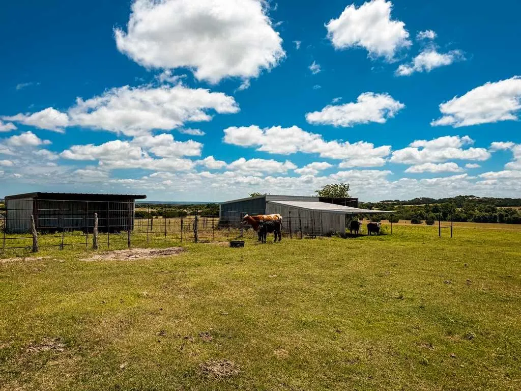 Ranch For Sale in Coryell County , 2455 FM 116, Gatesville, Texas 76528, 0, 0, Garage spaces, 0 Sqft, built in 0, mls#21295515, Real Estate Agent in Gatesville, Homes For Sale in Coryell county, Homes For Sale in Gatesville, Realtor in Gatesville Texas, Real Estate Brokerage Independent Realty Texas, Luminita Cordes Realtor