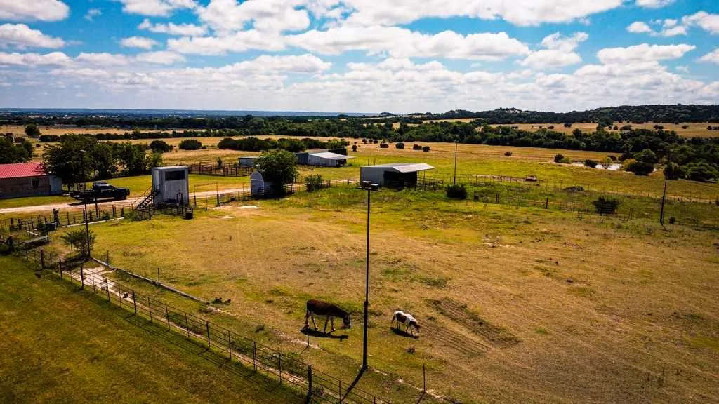 Ranch For Sale in Coryell County , 2455 FM 116, Gatesville, Texas 76528, 0, 0, Garage spaces, 0 Sqft, built in 0, mls#21295515, Real Estate Agent in Gatesville, Homes For Sale in Coryell county, Homes For Sale in Gatesville, Realtor in Gatesville Texas, Real Estate Brokerage Independent Realty Texas, Luminita Cordes Realtor