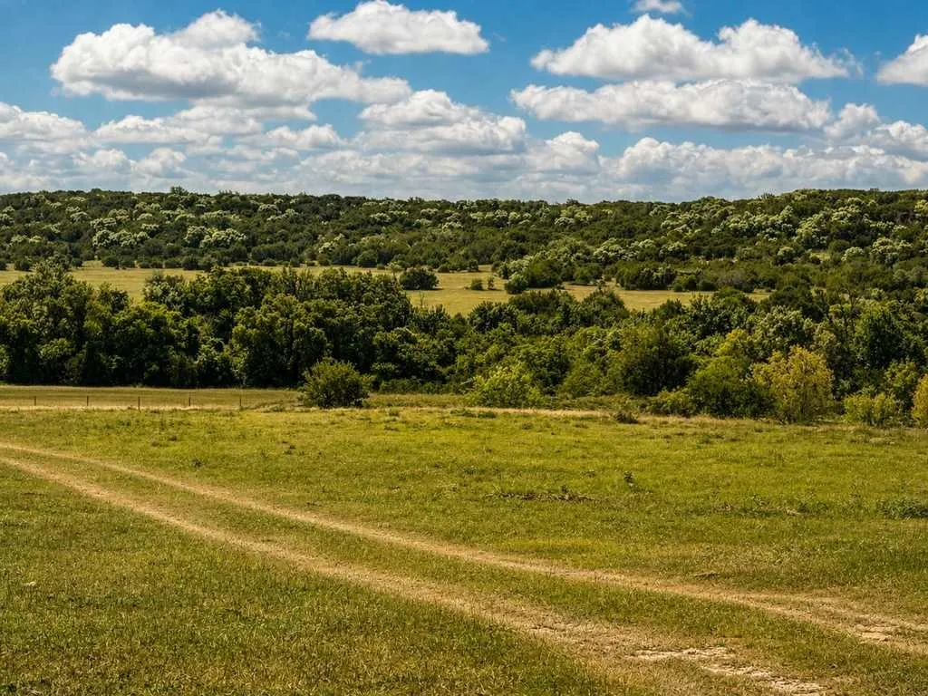Ranch For Sale in Coryell County , 2455 FM 116, Gatesville, Texas 76528, 0, 0, Garage spaces, 0 Sqft, built in 0, mls#21295515, Real Estate Agent in Gatesville, Homes For Sale in Coryell county, Homes For Sale in Gatesville, Realtor in Gatesville Texas, Real Estate Brokerage Independent Realty Texas, Luminita Cordes Realtor