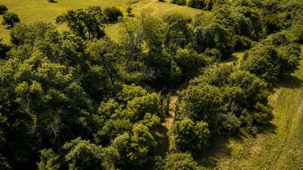 Ranch For Sale in Coryell County , 2455 FM 116, Gatesville, Texas 76528, 0, 0, Garage spaces, 0 Sqft, built in 0, mls#21295515, Real Estate Agent in Gatesville, Homes For Sale in Coryell county, Homes For Sale in Gatesville, Realtor in Gatesville Texas, Real Estate Brokerage Independent Realty Texas, Luminita Cordes Realtor