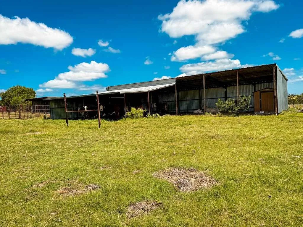 Ranch For Sale in Coryell County , 2455 FM 116, Gatesville, Texas 76528, 0, 0, Garage spaces, 0 Sqft, built in 0, mls#21295515, Real Estate Agent in Gatesville, Homes For Sale in Coryell county, Homes For Sale in Gatesville, Realtor in Gatesville Texas, Real Estate Brokerage Independent Realty Texas, Luminita Cordes Realtor